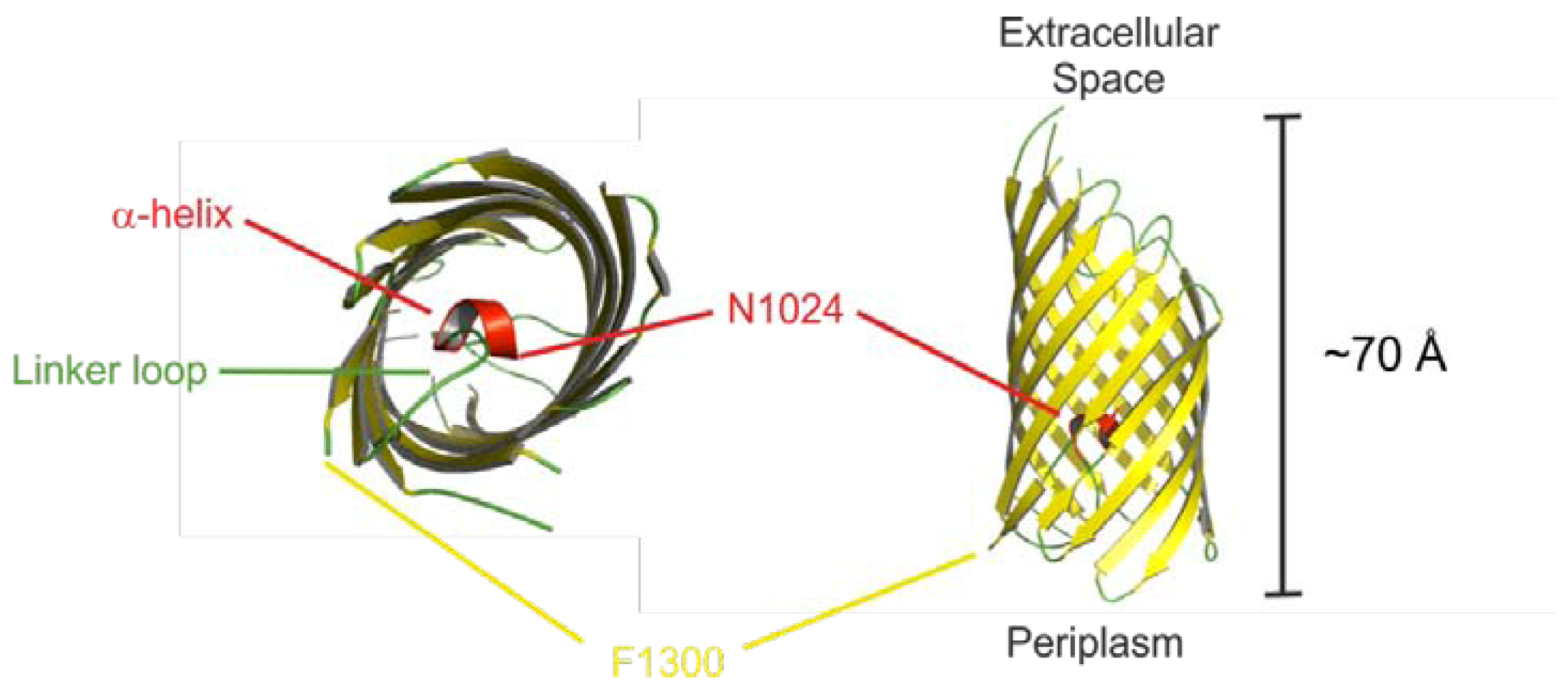 Toxins 05 00025 g002