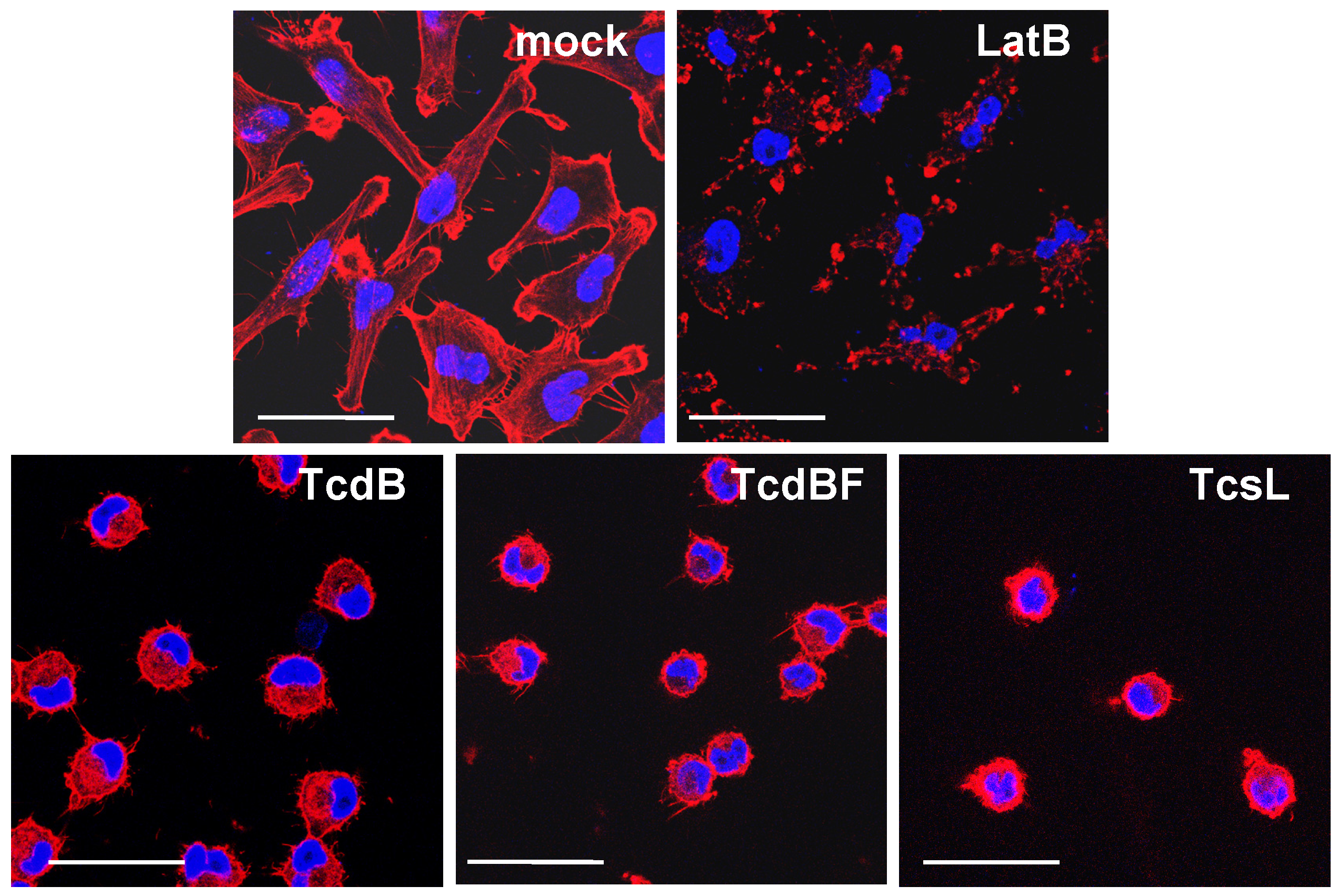 Toxins 05 00106 g001