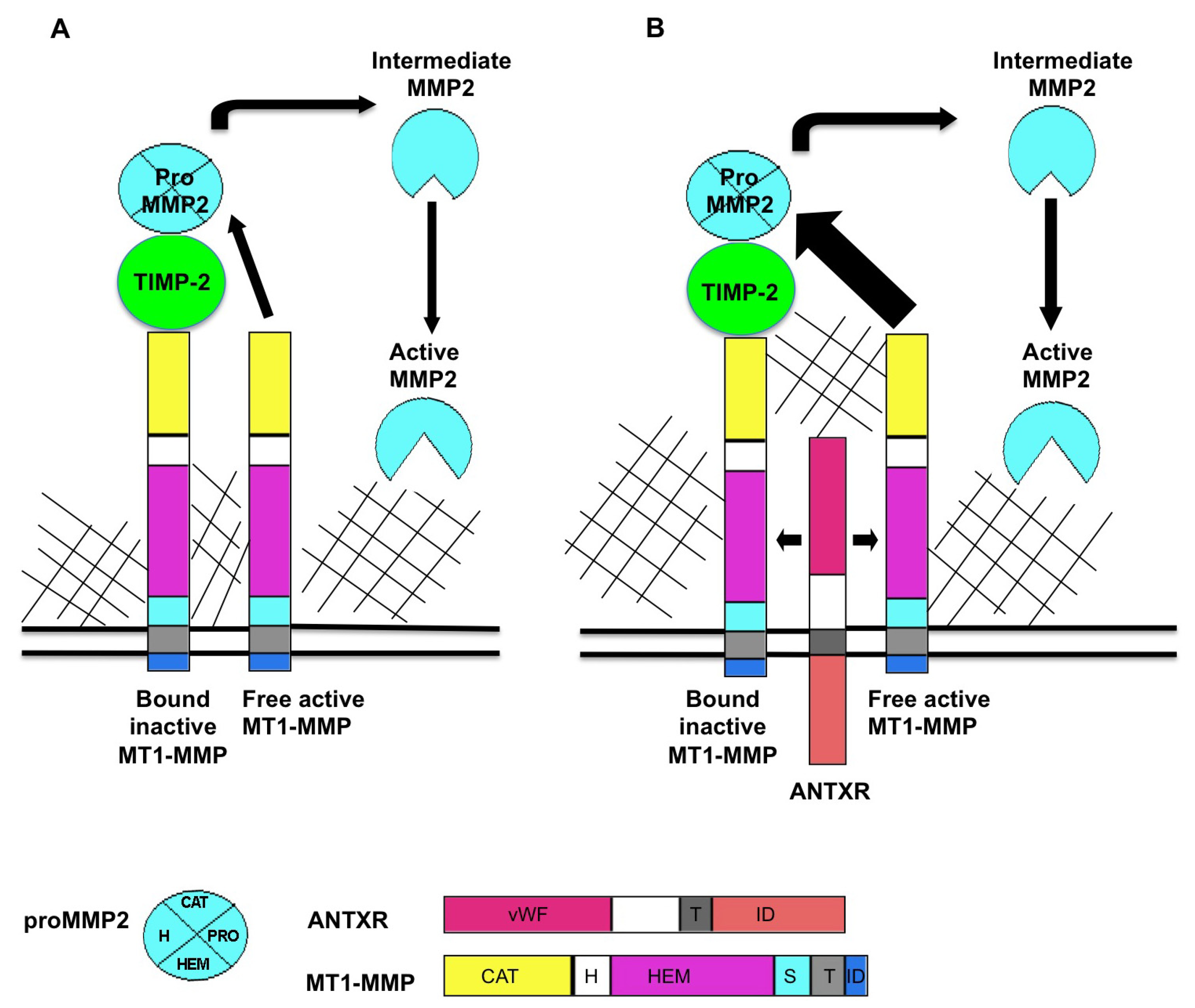 Toxins 05 00315 g001 1024