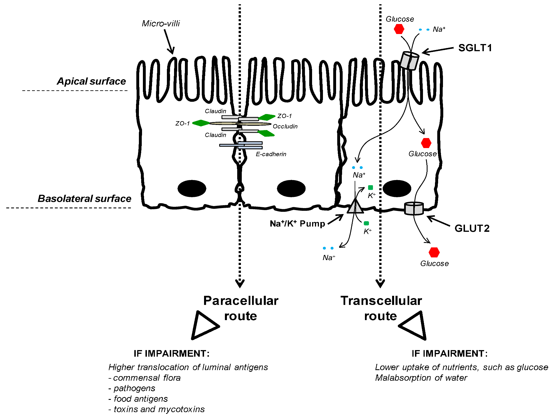 Toxins 05 00396 g002