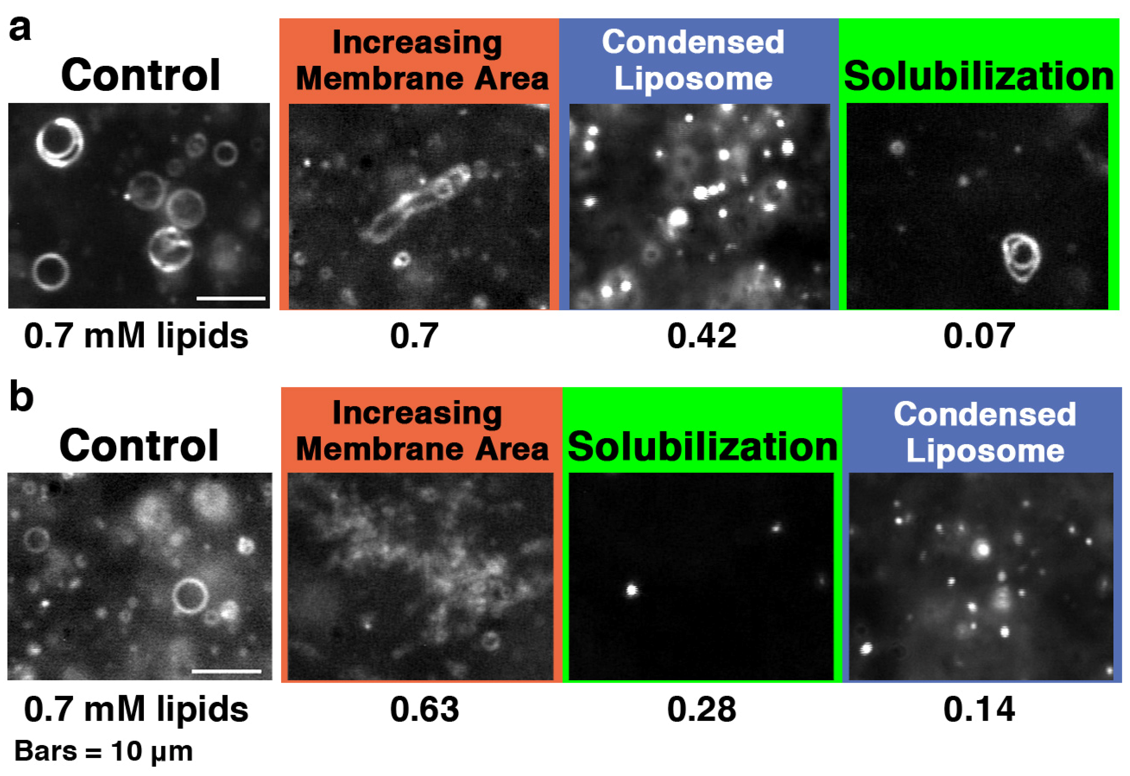 Toxins 05 00637 g006 1024
