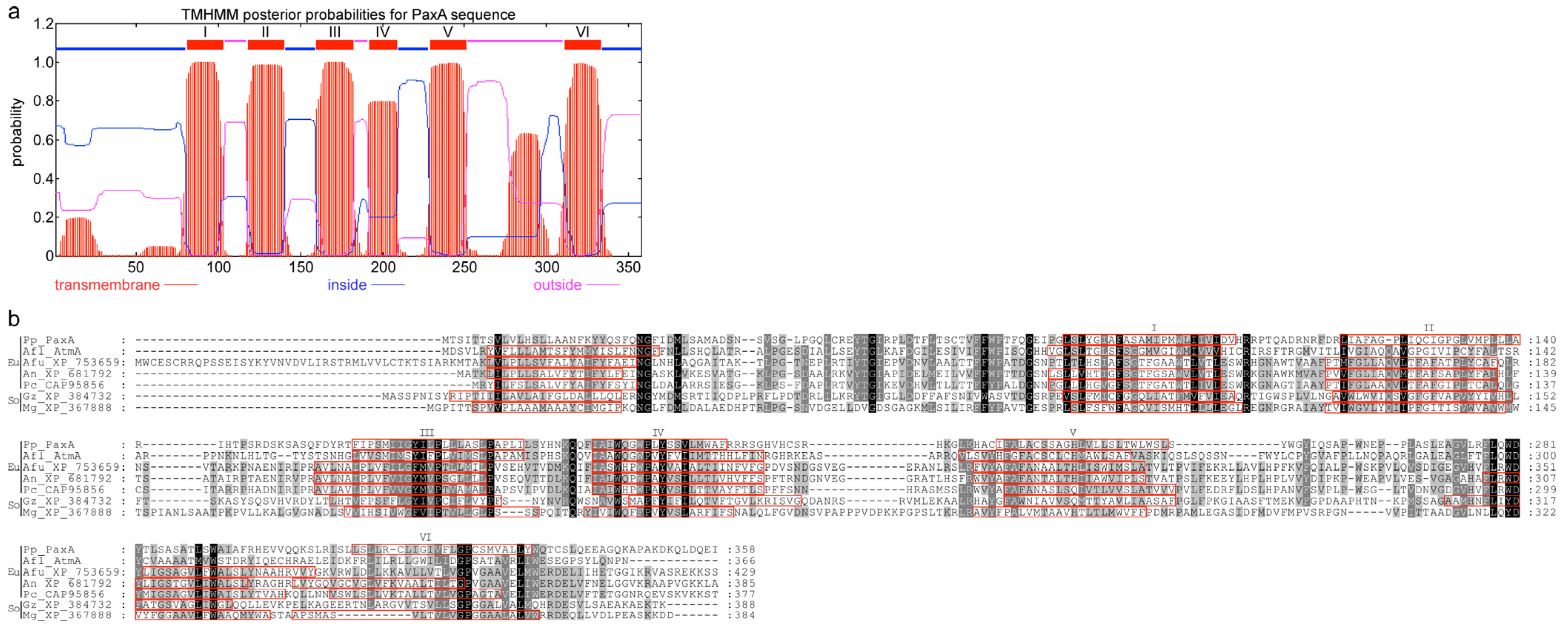 Toxins 05 01422 g006 1024