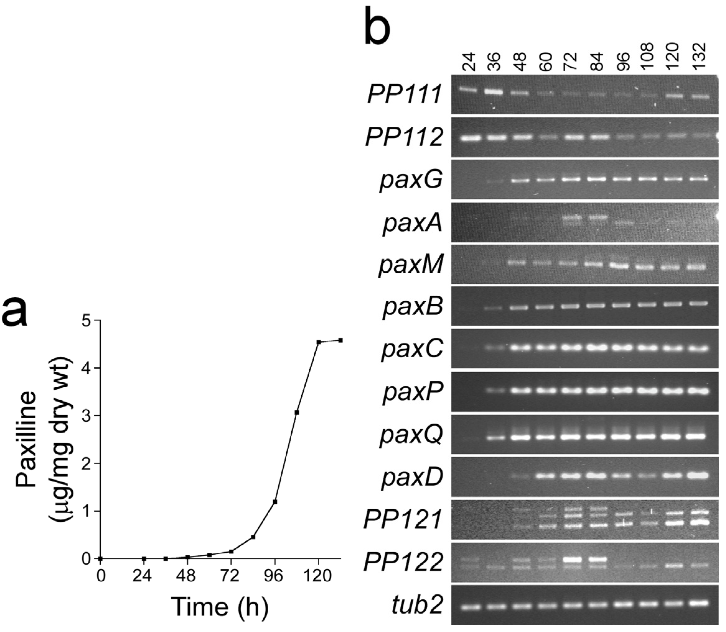 Toxins 05 01422 g008 1024
