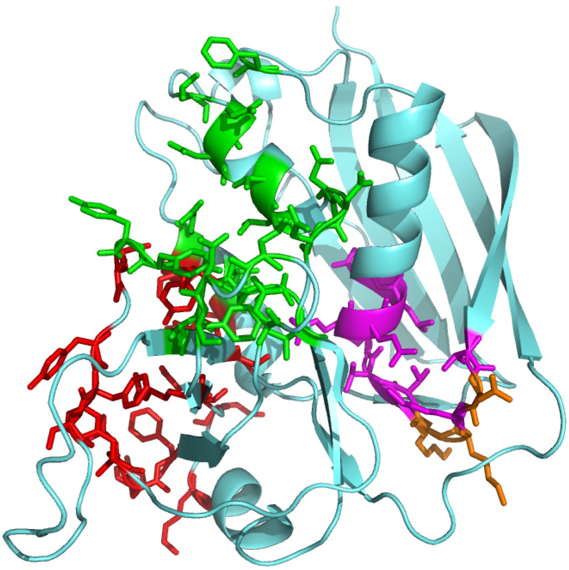 Toxins 05 01531 g002