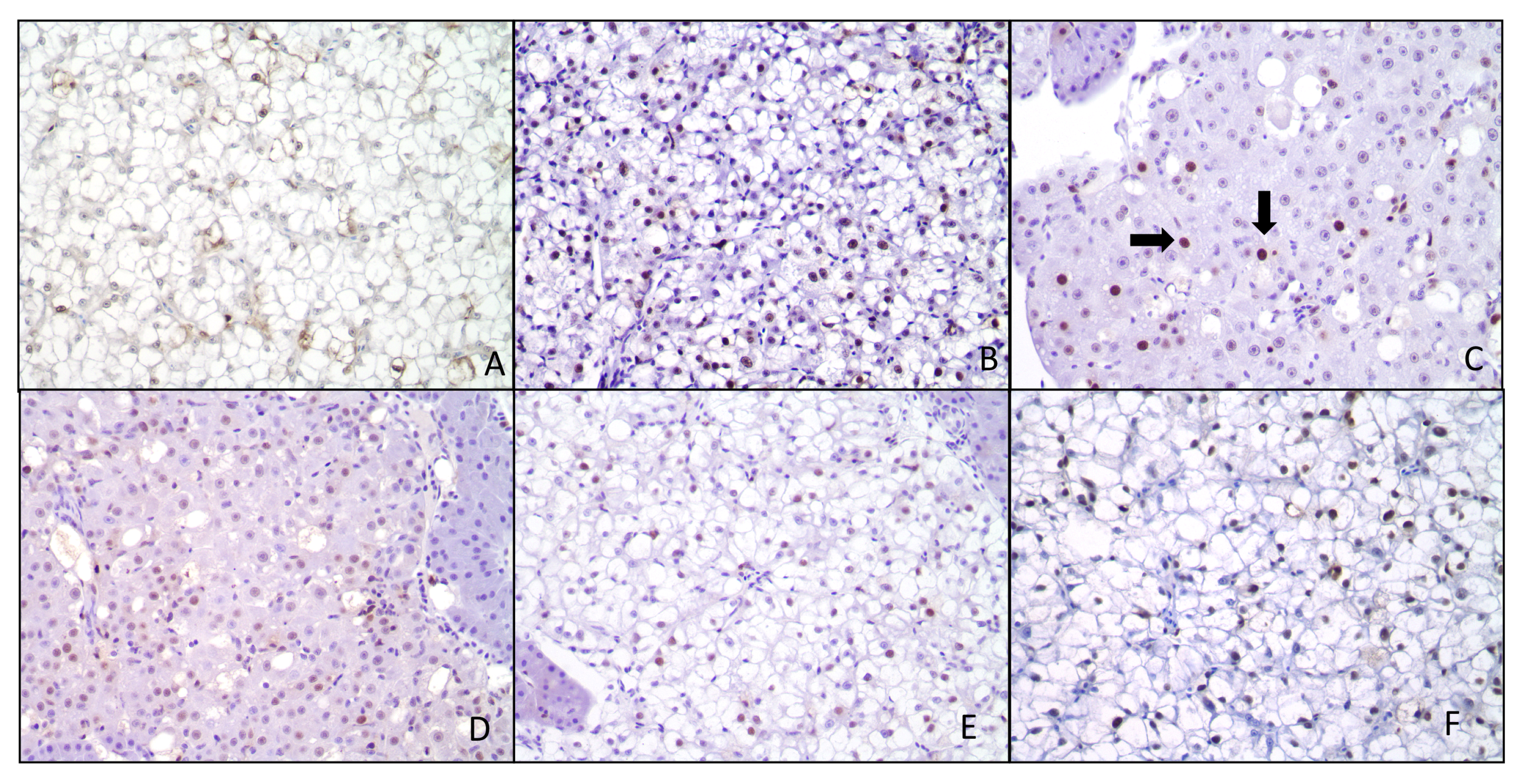 Toxins 05 01555 g002 1024