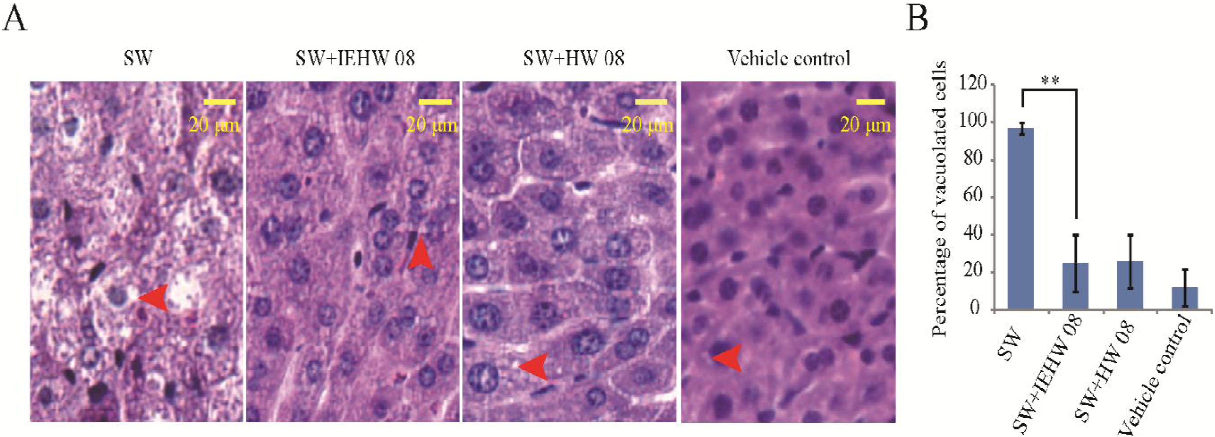 Toxins 05 02161 g007