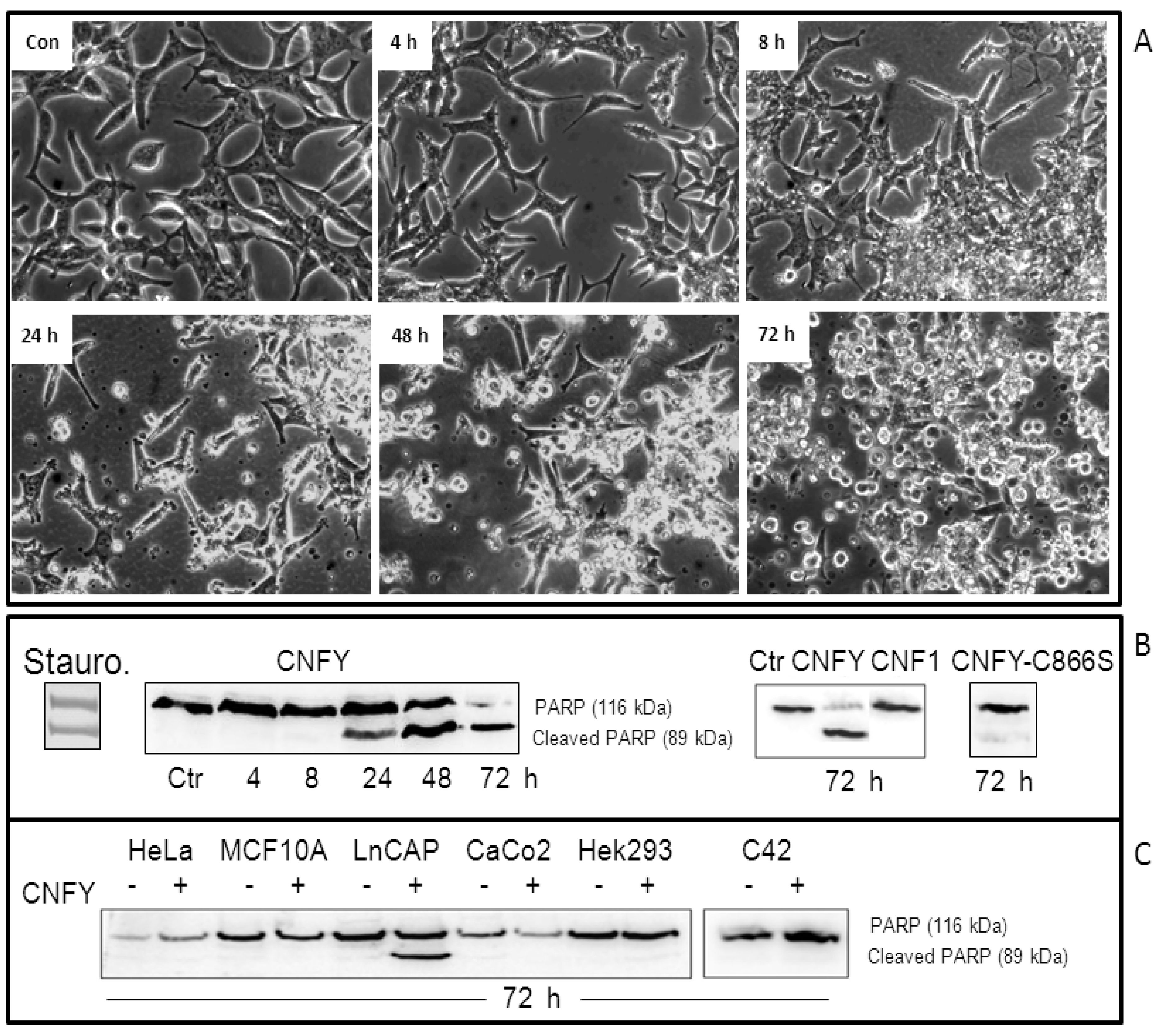 Toxins 05 02241 g002 1024