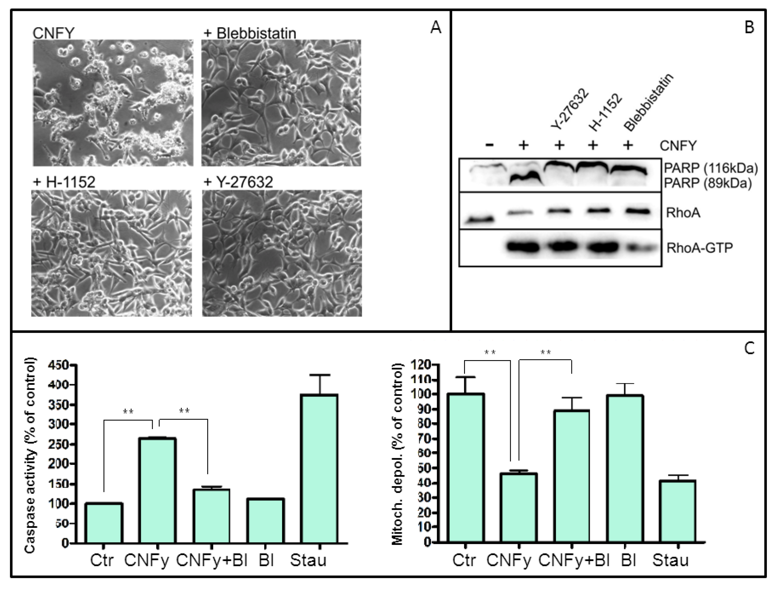 Toxins 05 02241 g007 1024