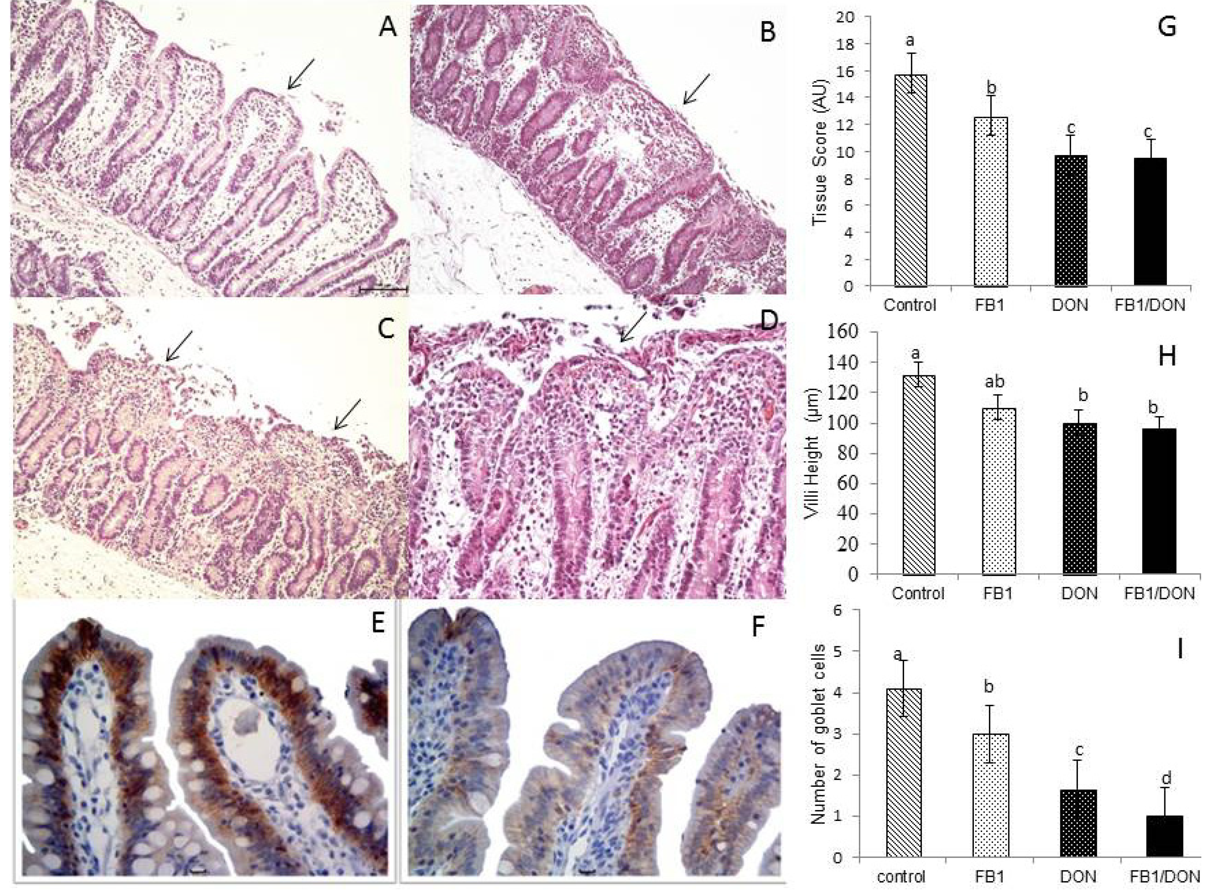 Toxins 05 02341 g001