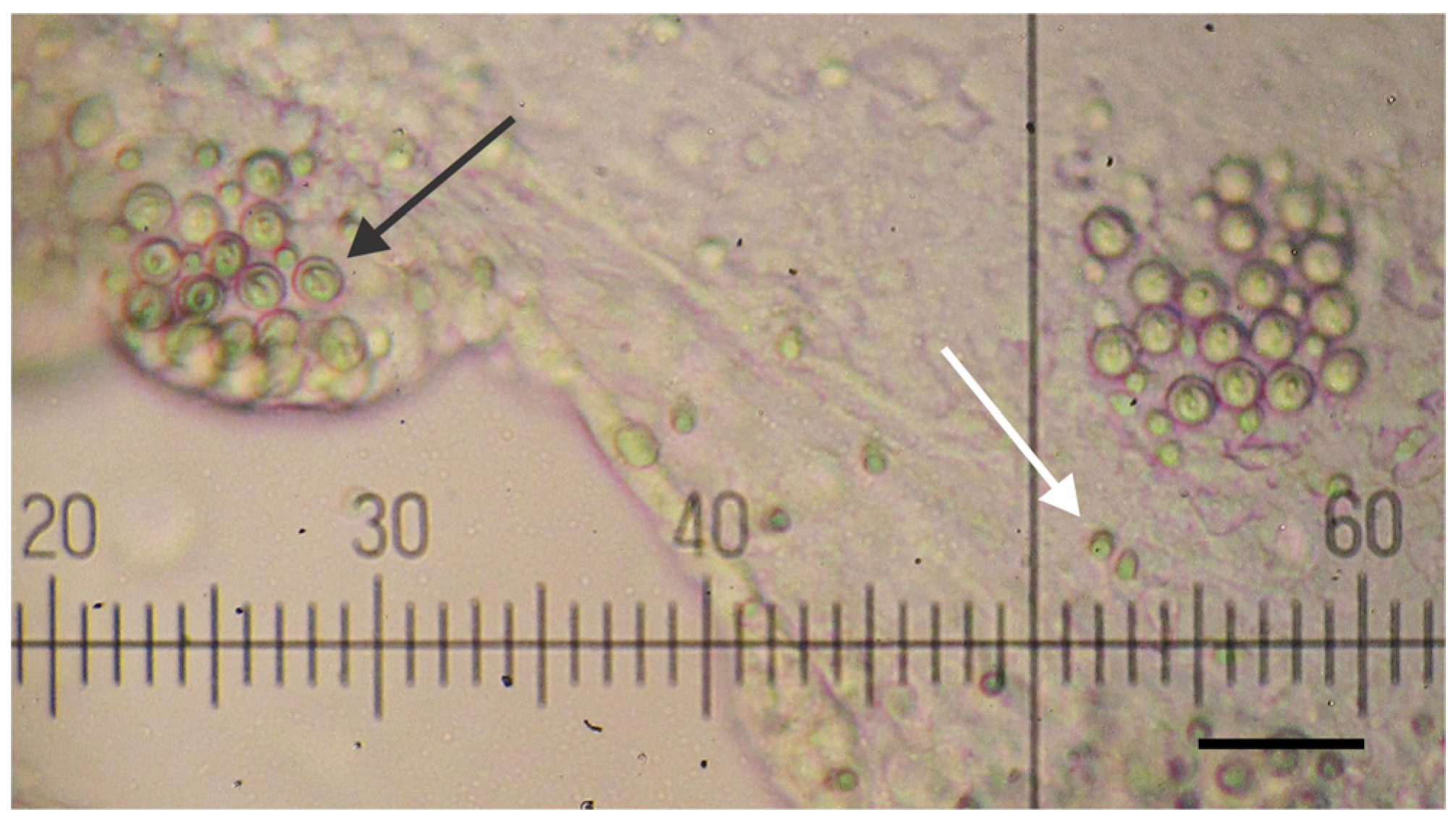 Toxins 05 02420 g001