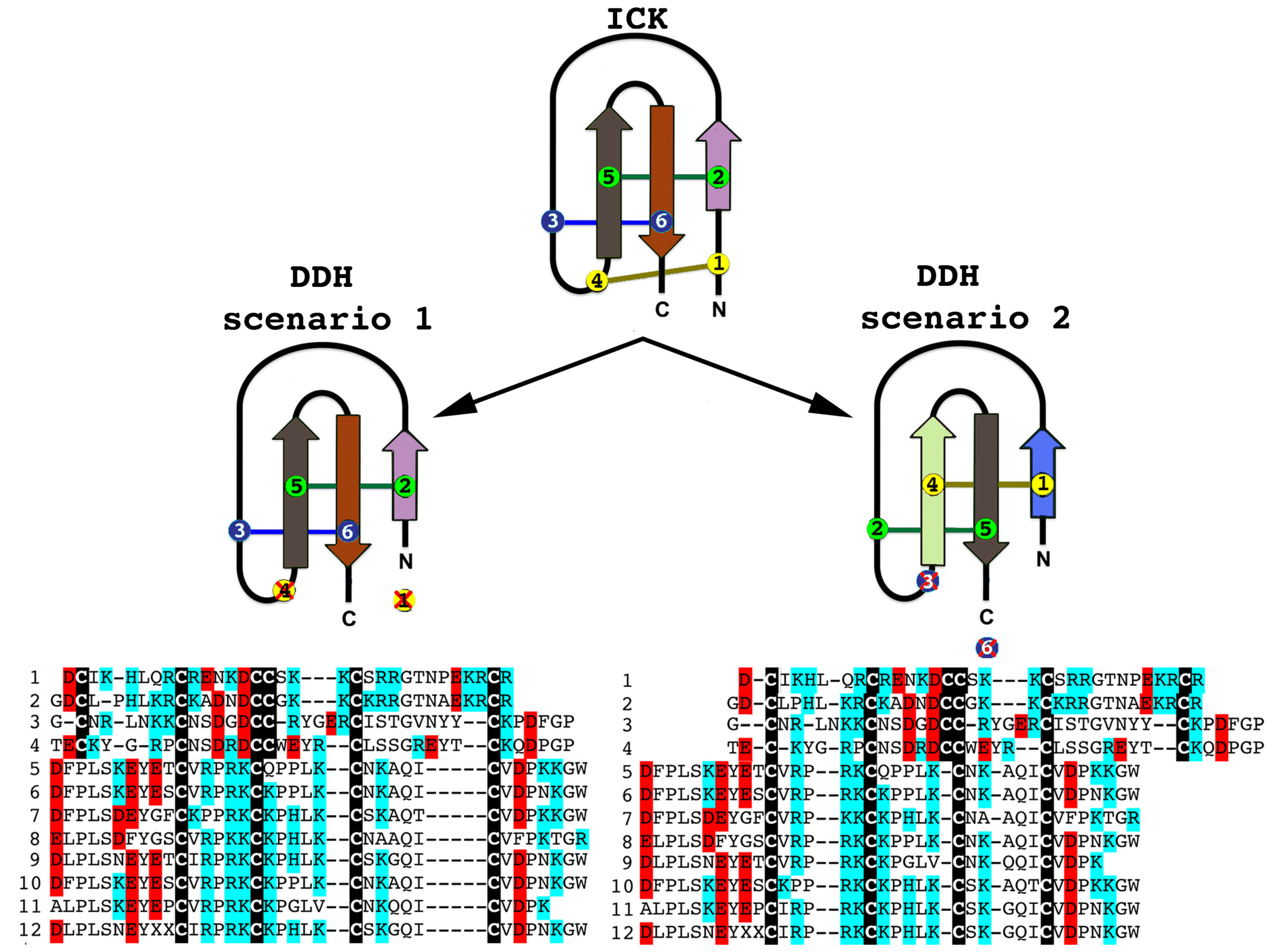 Toxins 05 02456 g002