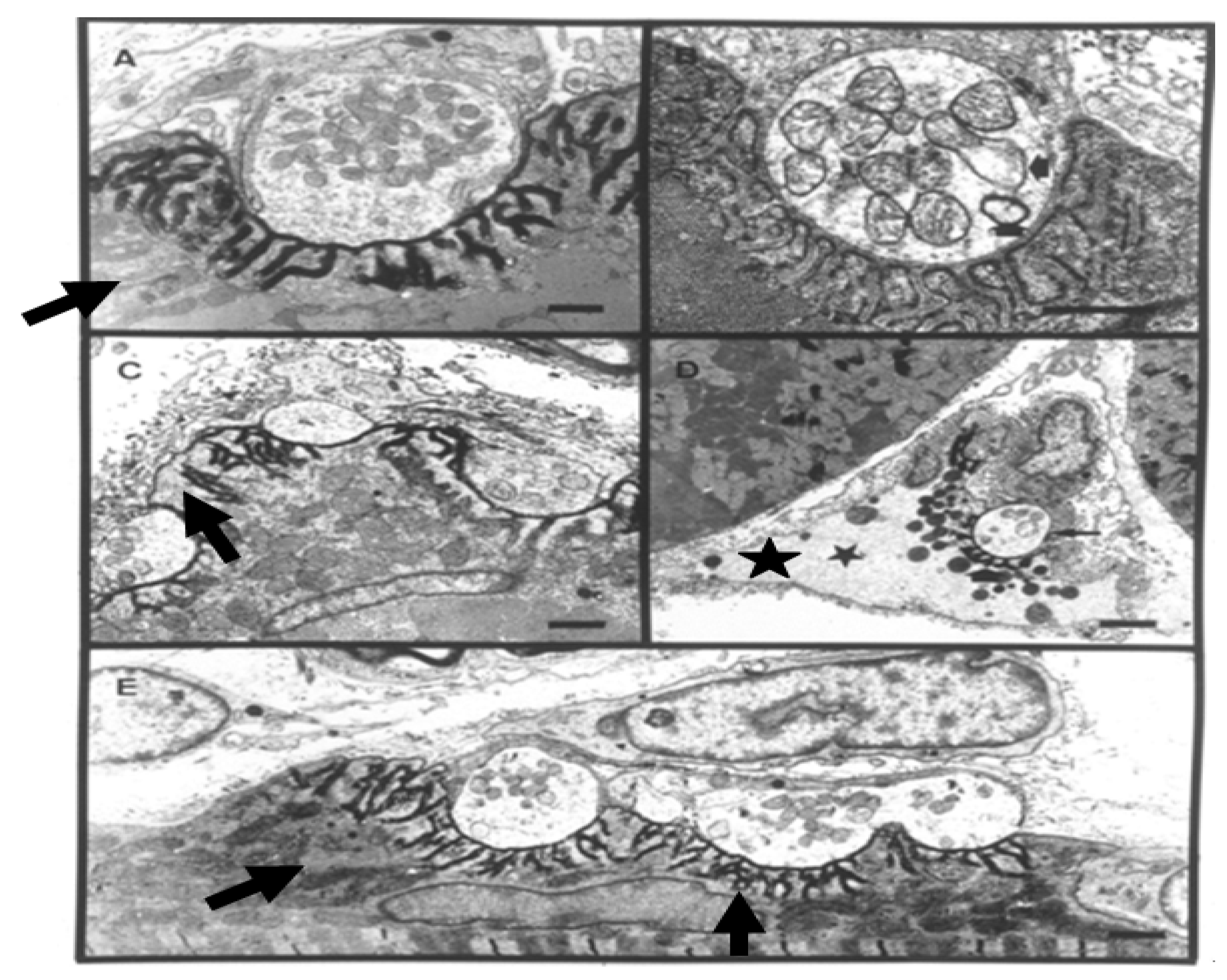 Toxins 05 02533 g011