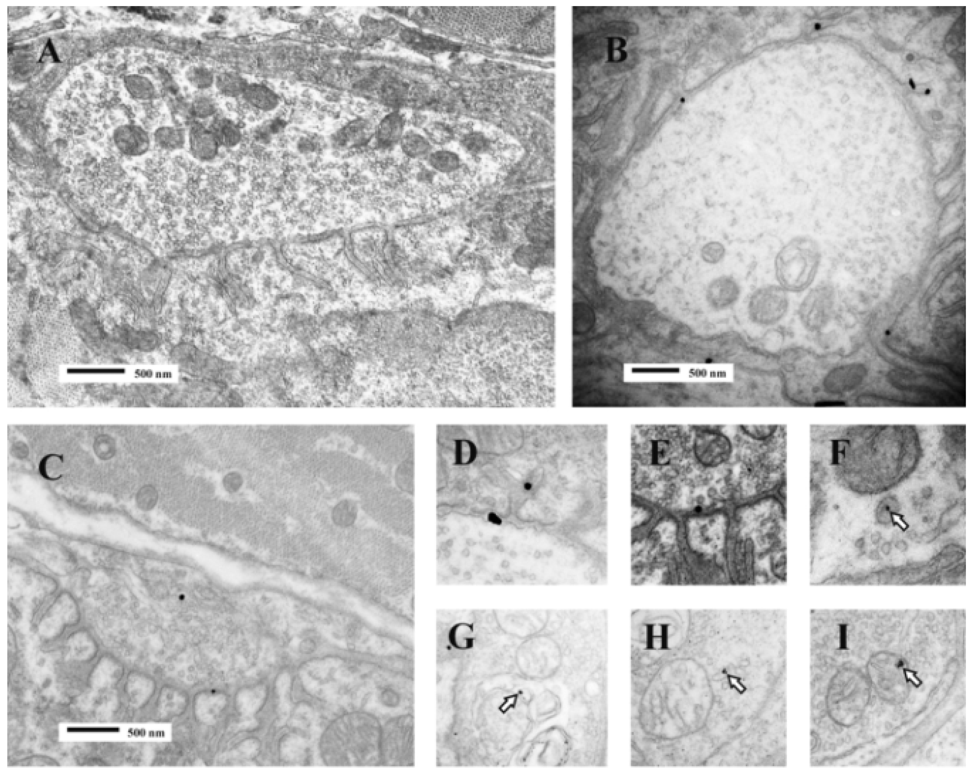 Toxins 05 02533 g016
