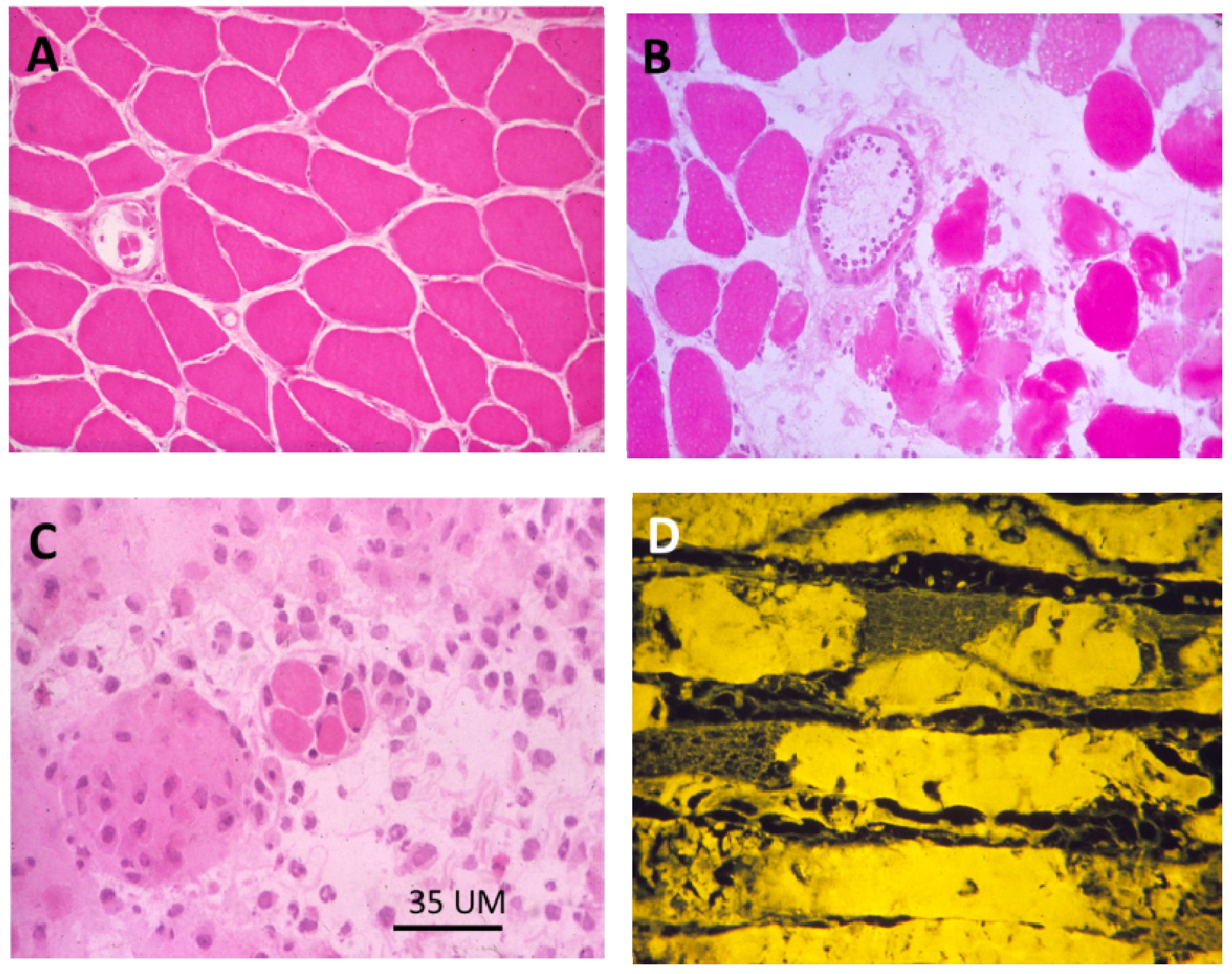 Toxins 05 02533 g018