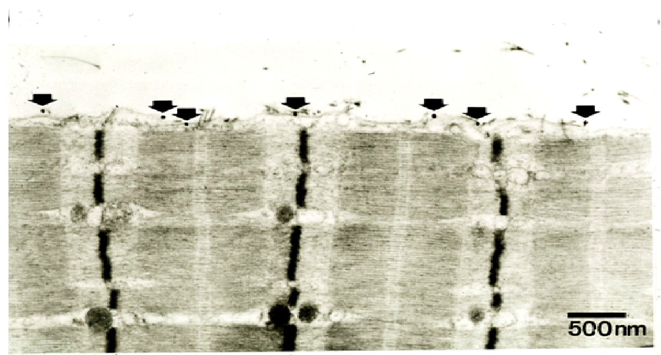 Toxins 05 02533 g019
