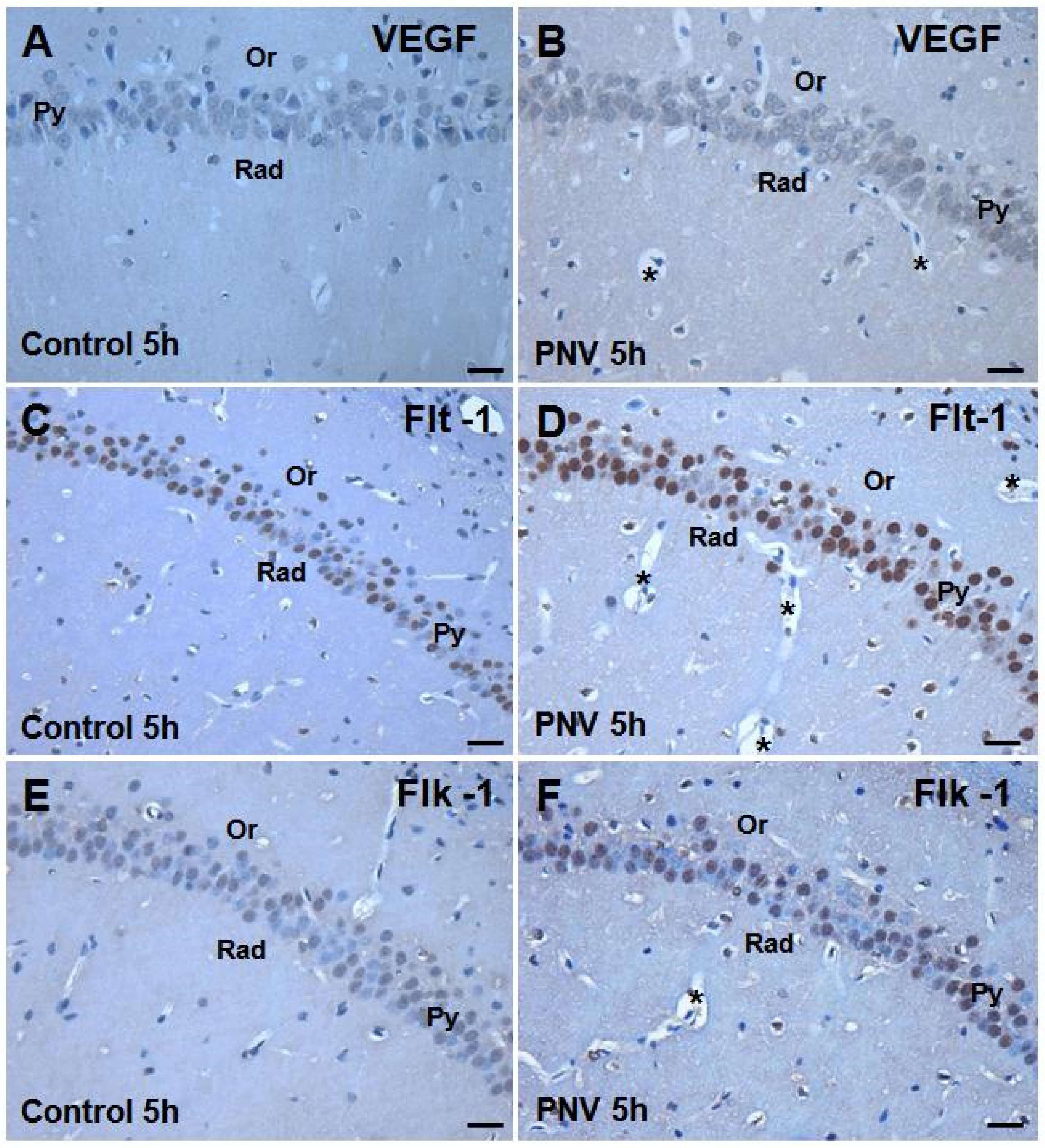 Toxins 05 02572 g002