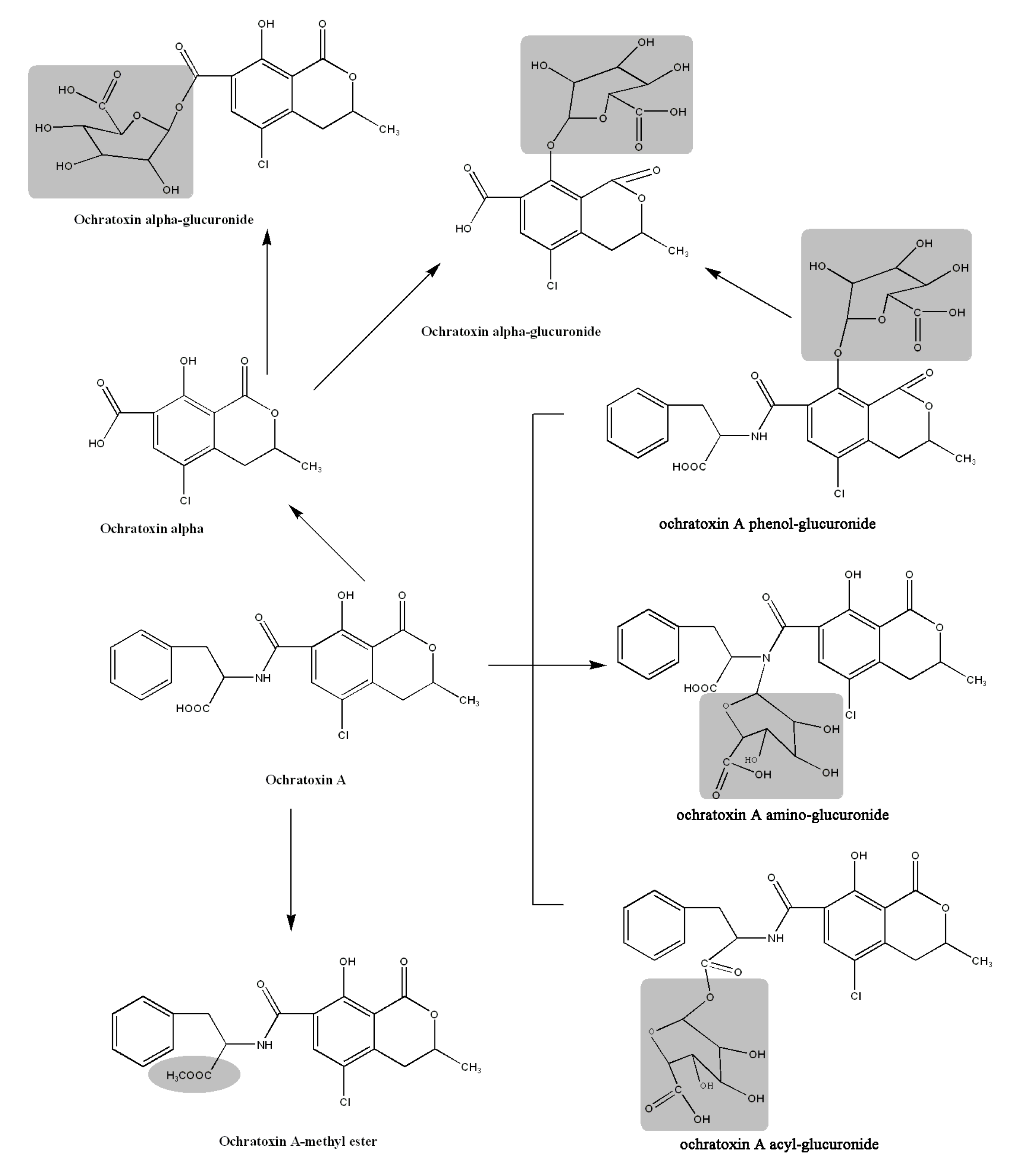 Toxins 05 02671 g005