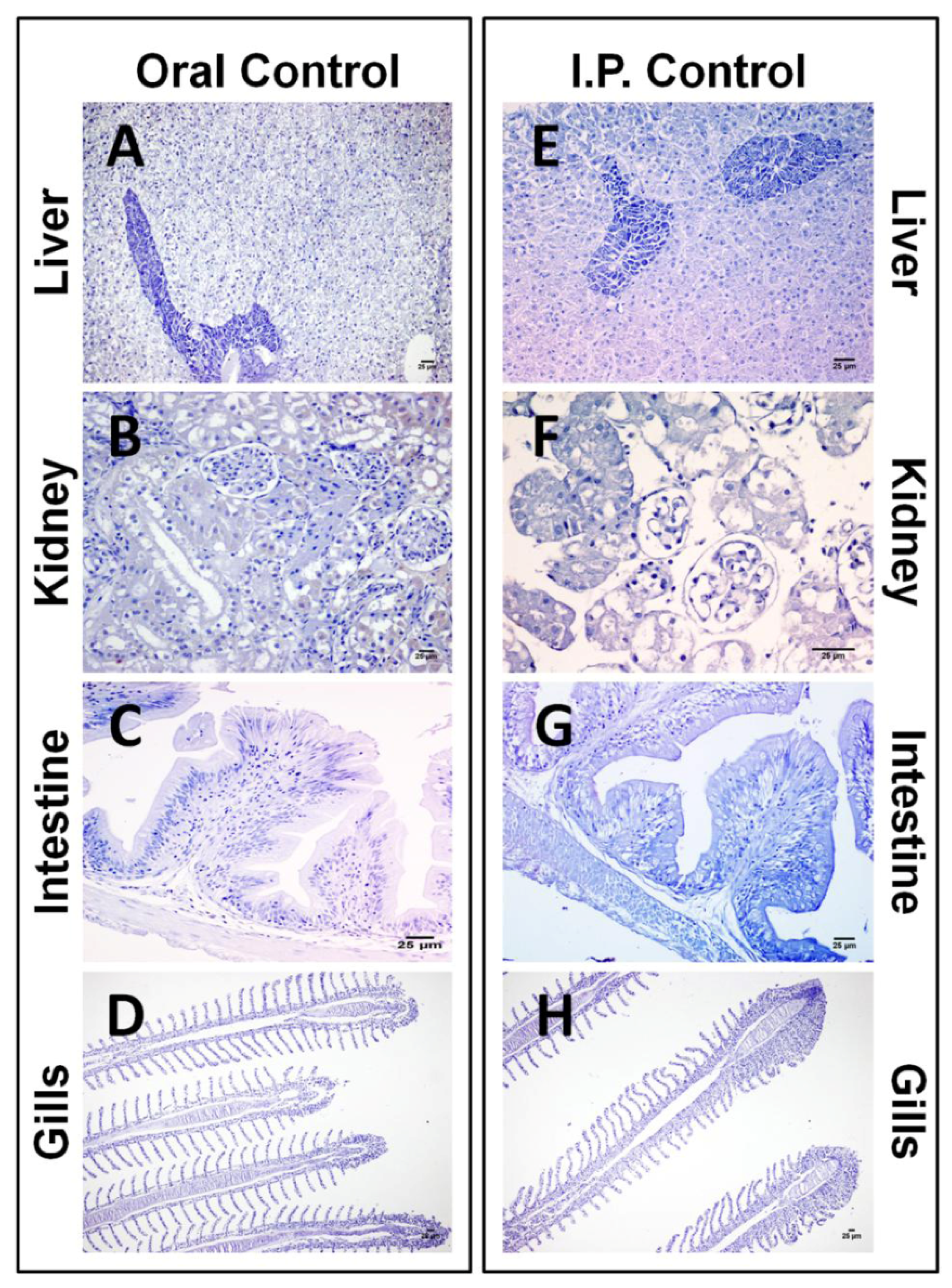 Toxins 06 00283 g002