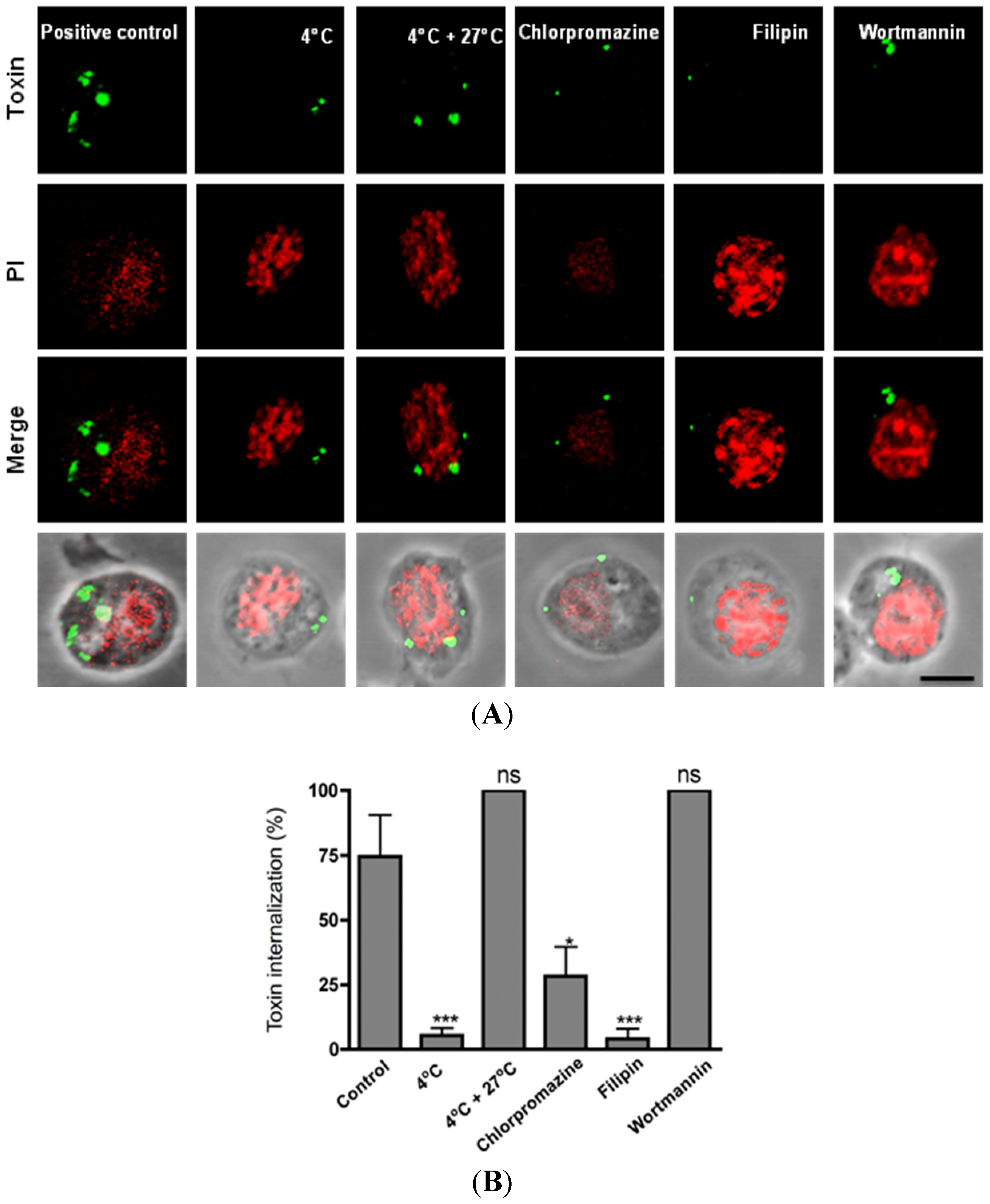 Toxins 06 00464 g002