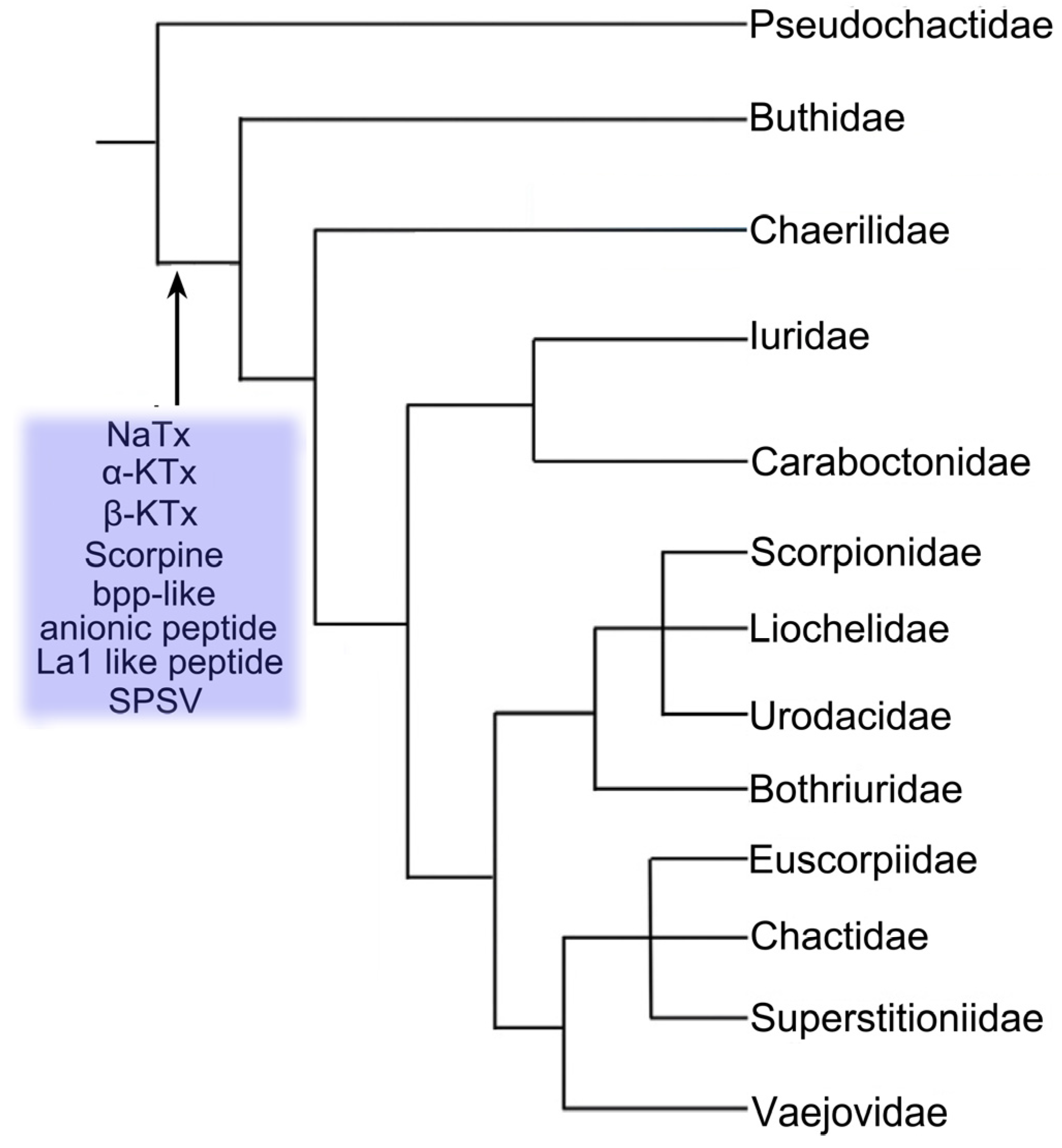 Toxins 06 00796 g002 1024