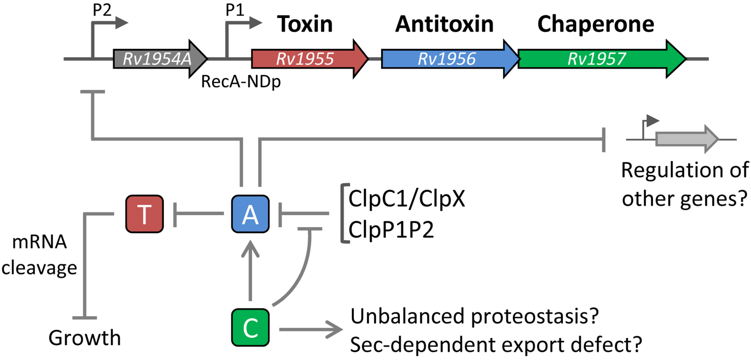Toxins 06 01002 g002