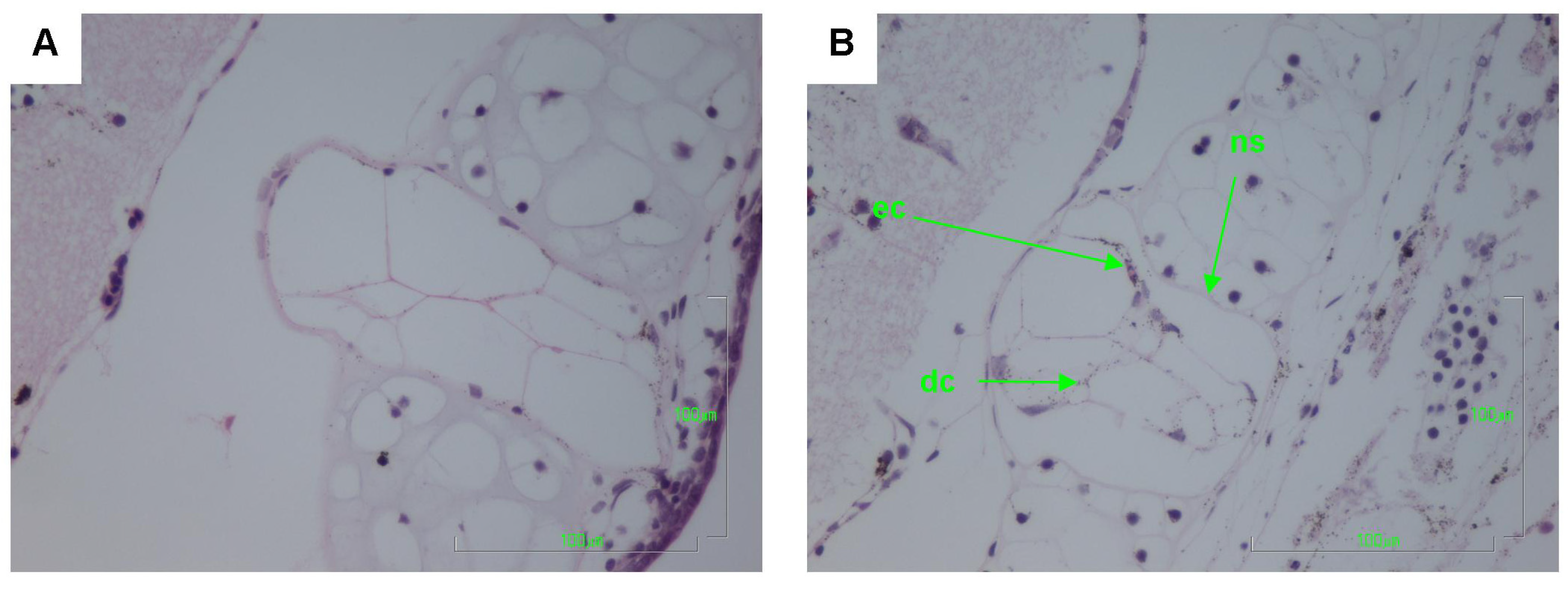 Toxins 06 01021 g003