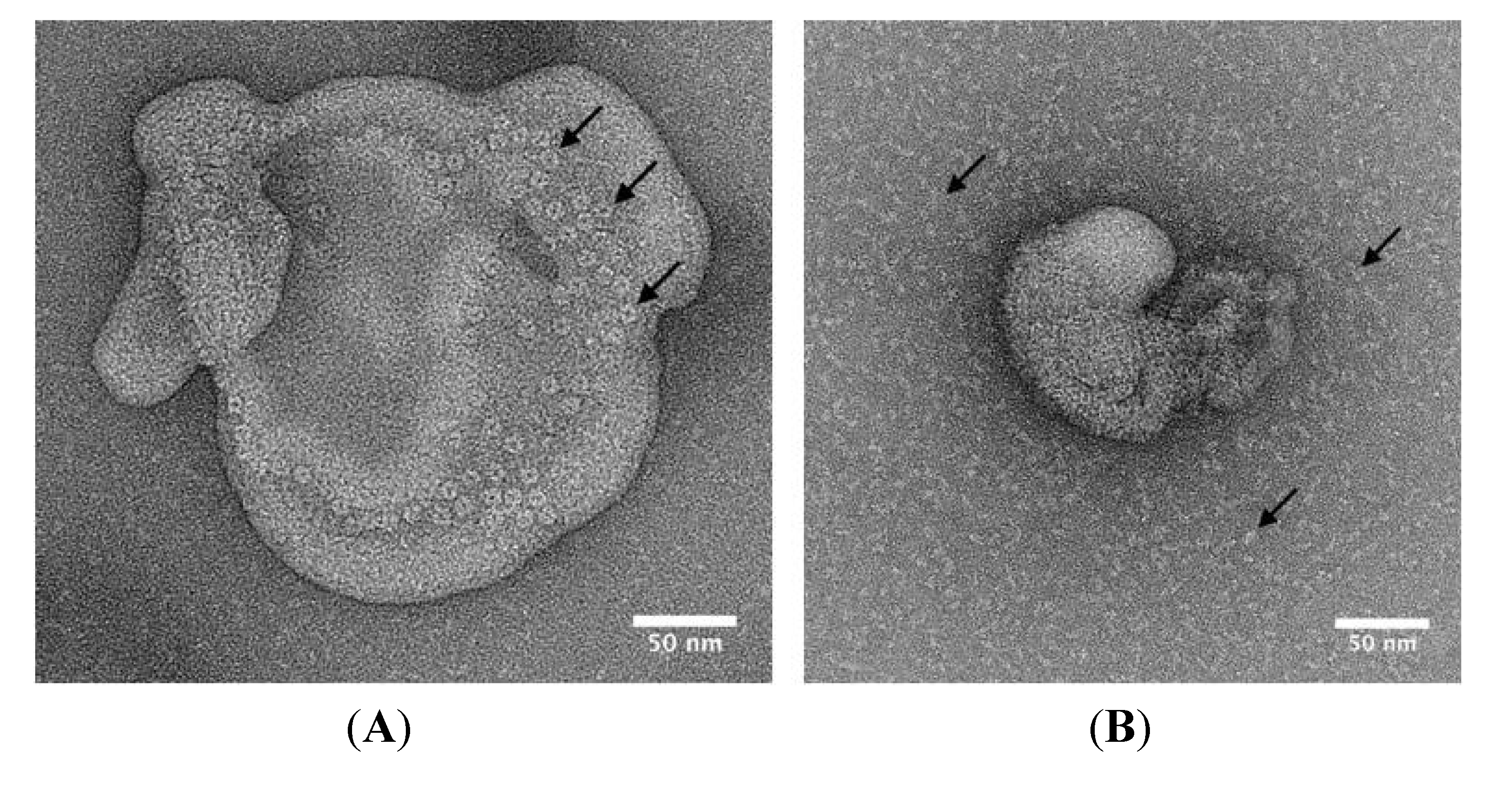 Toxins 06 01049 g007