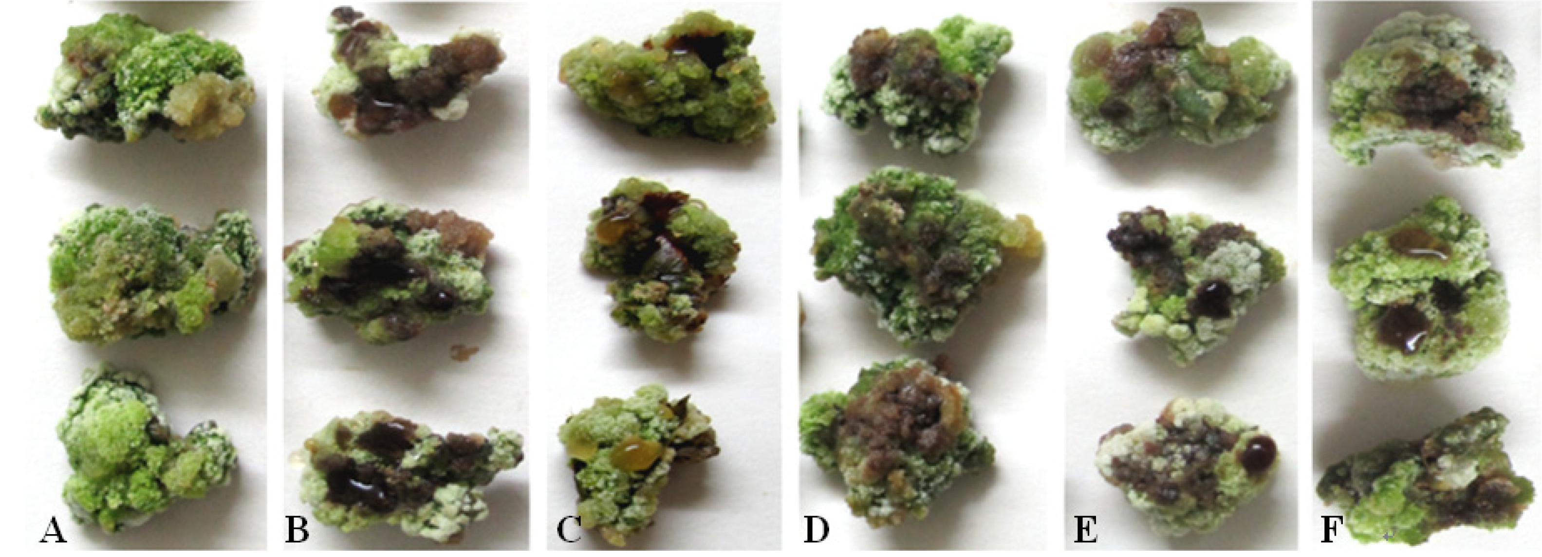 Toxins 06 01139 g003