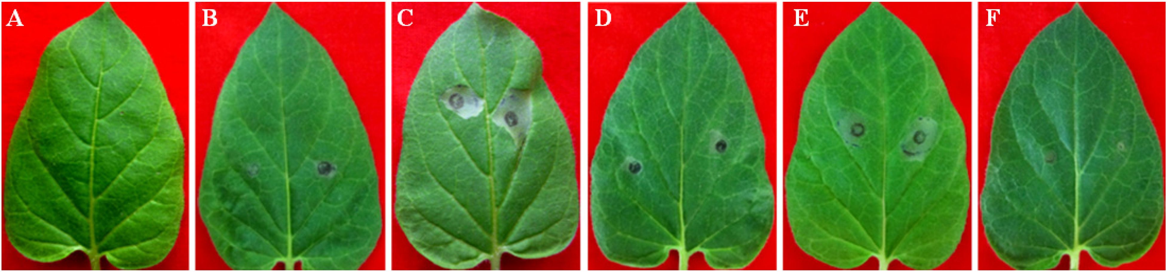 Toxins 06 01139 g005