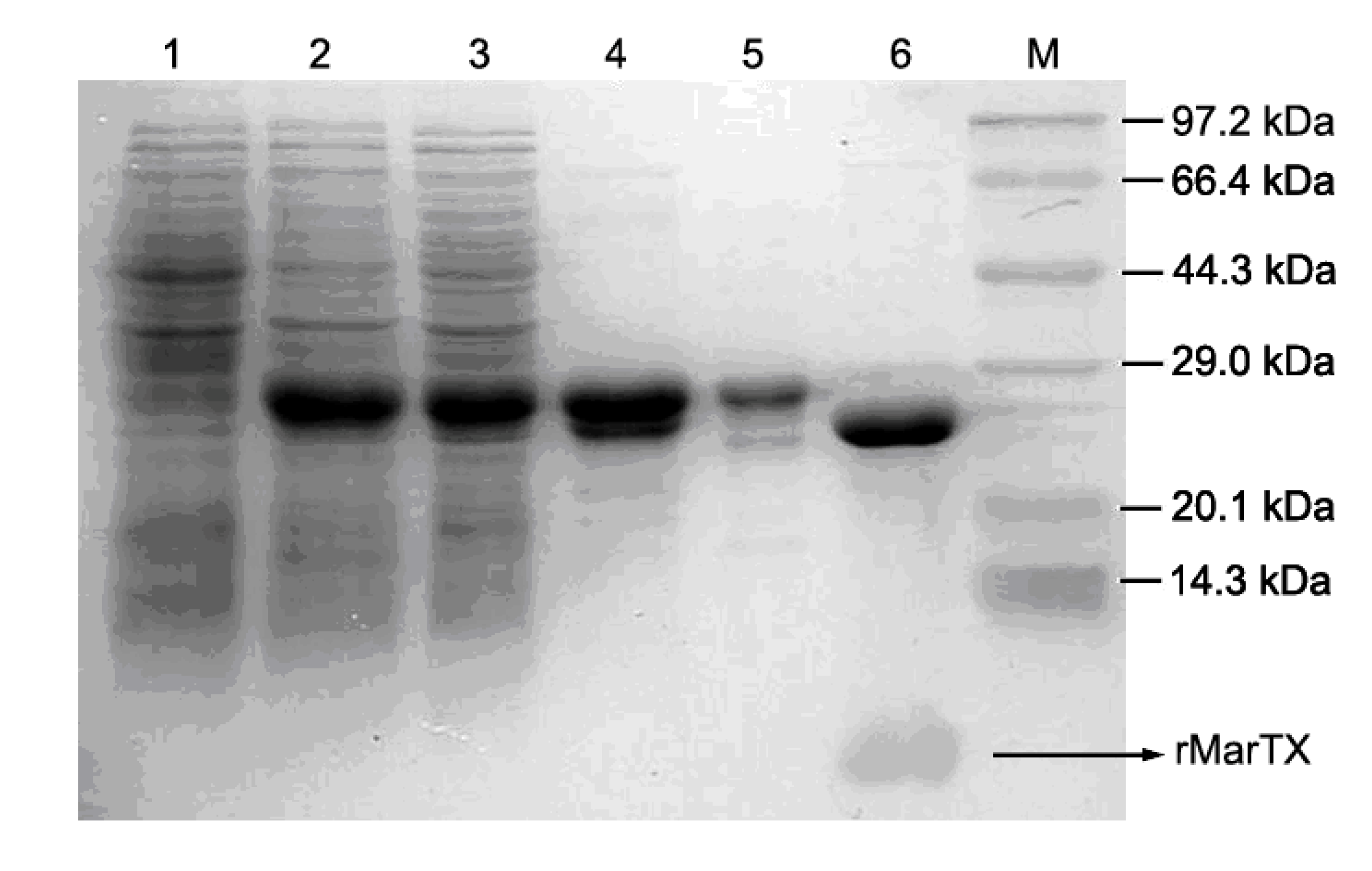 Toxins 06 01419 g002