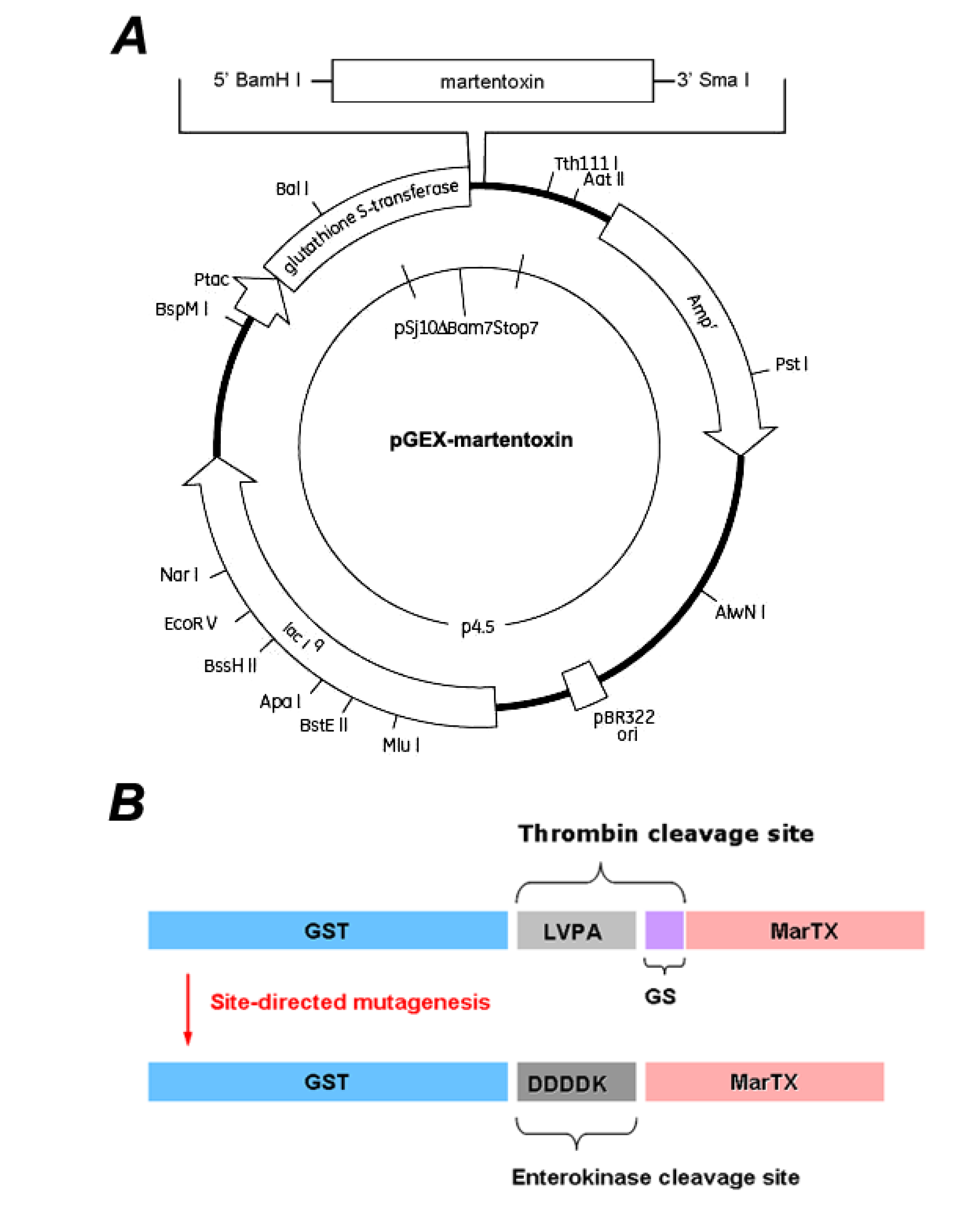 Toxins 06 01419 g006