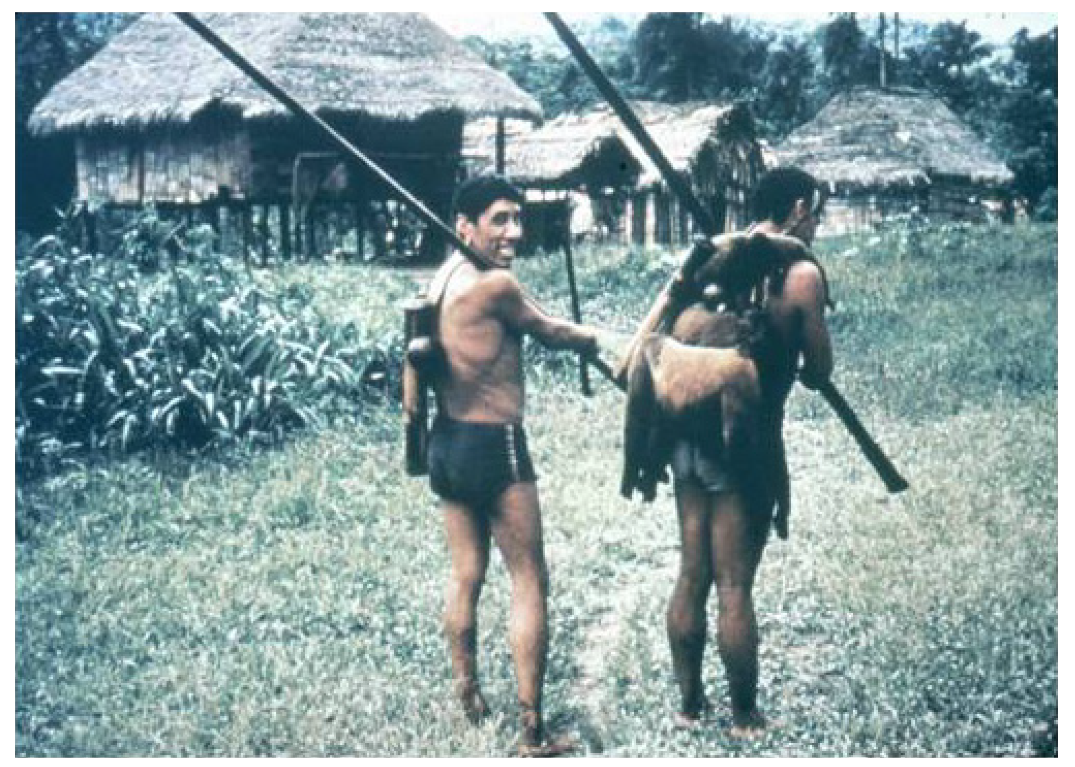 Toxins 06 01667 g006