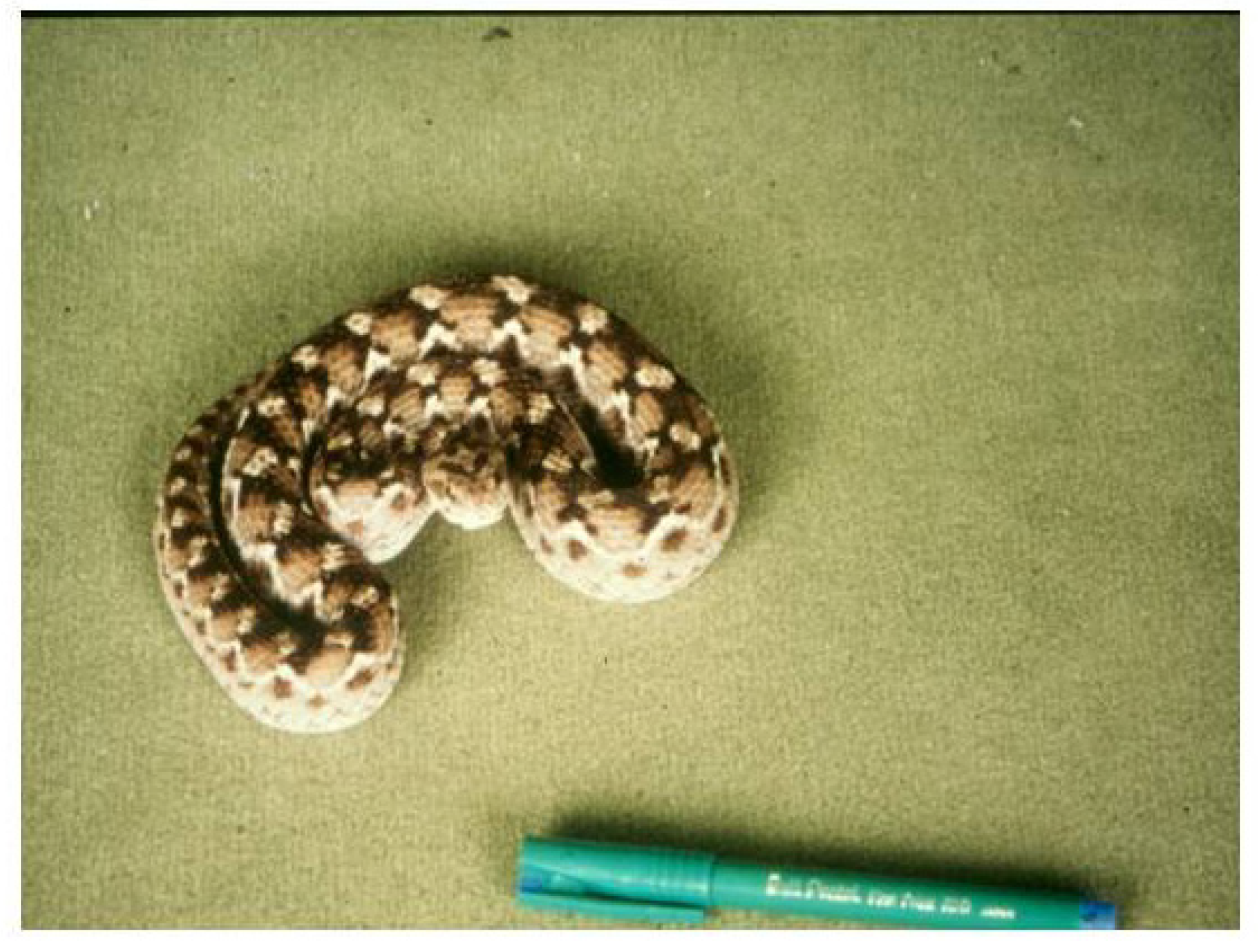 Toxins 06 01667 g011