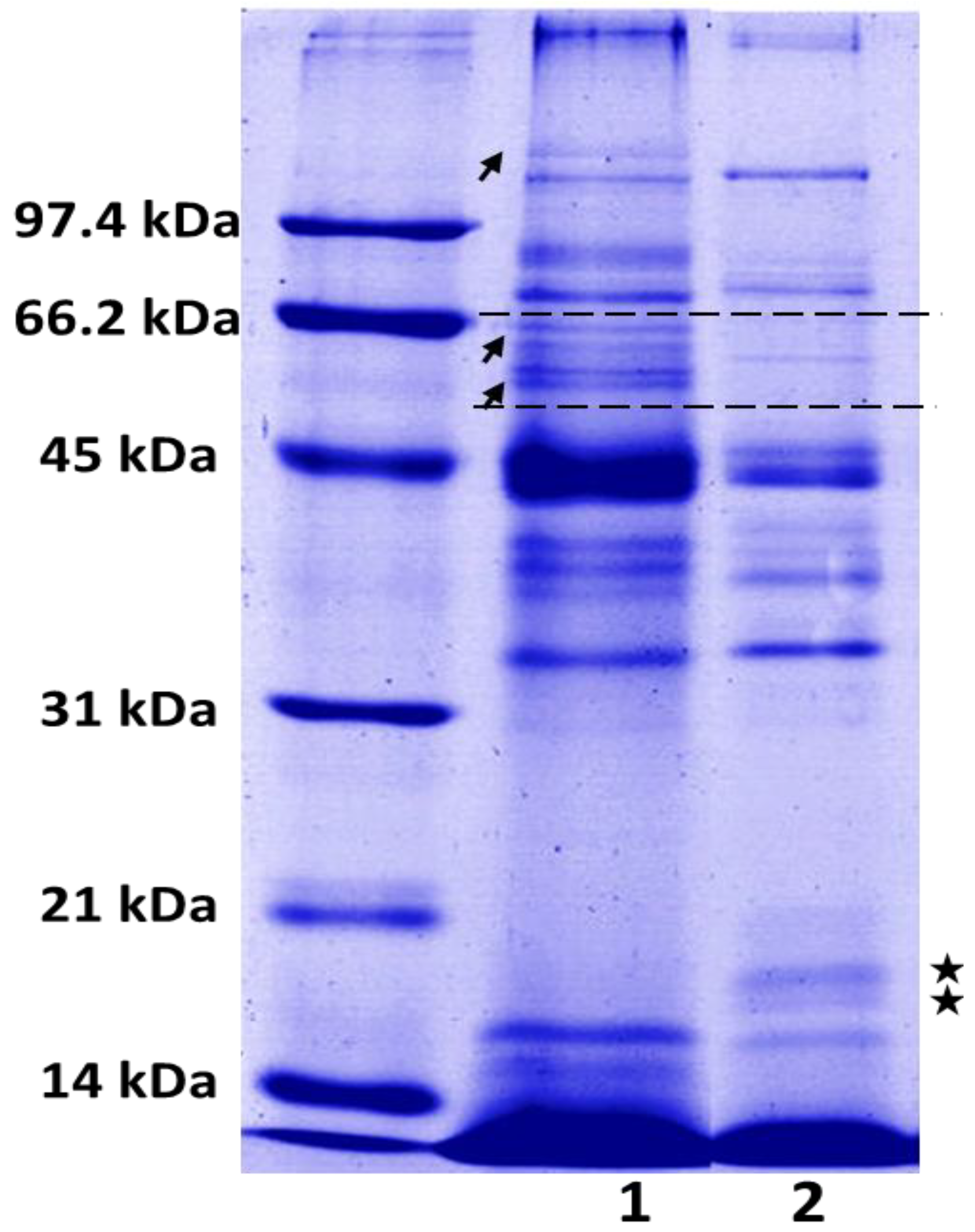 Toxins 06 02082 g002 1024