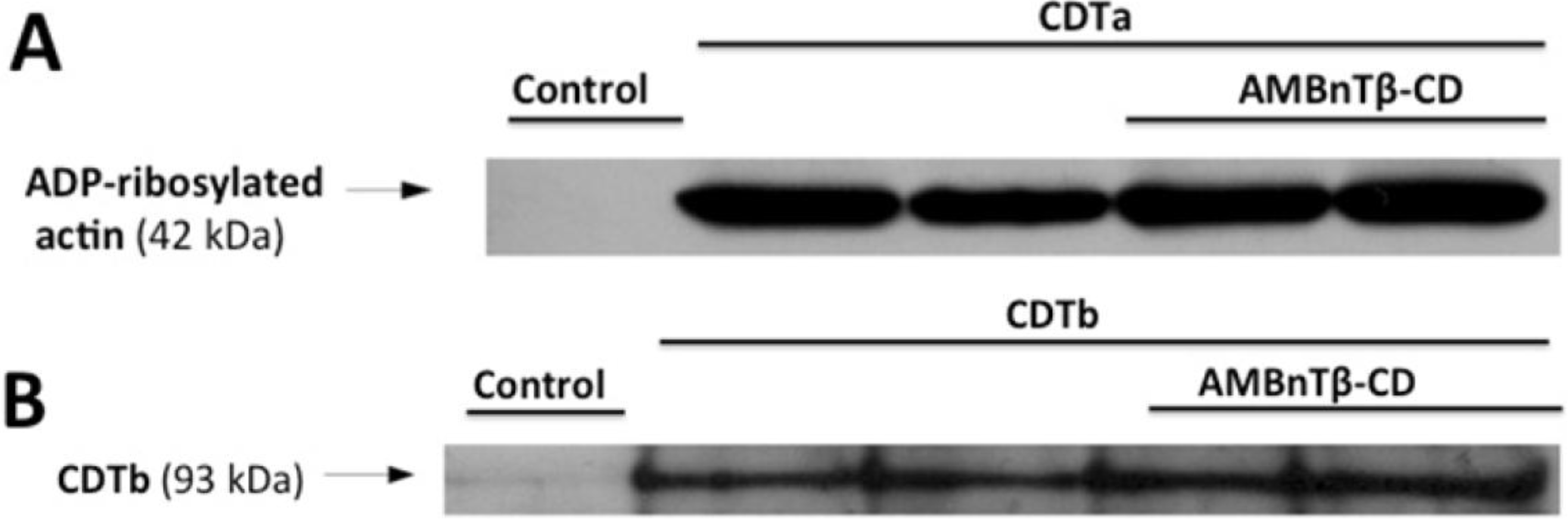Toxins 06 02097 g004