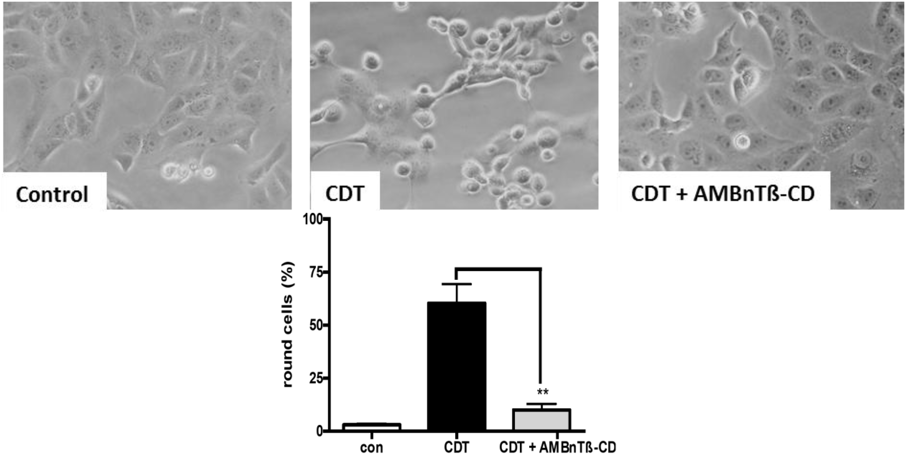 Toxins 06 02097 g005