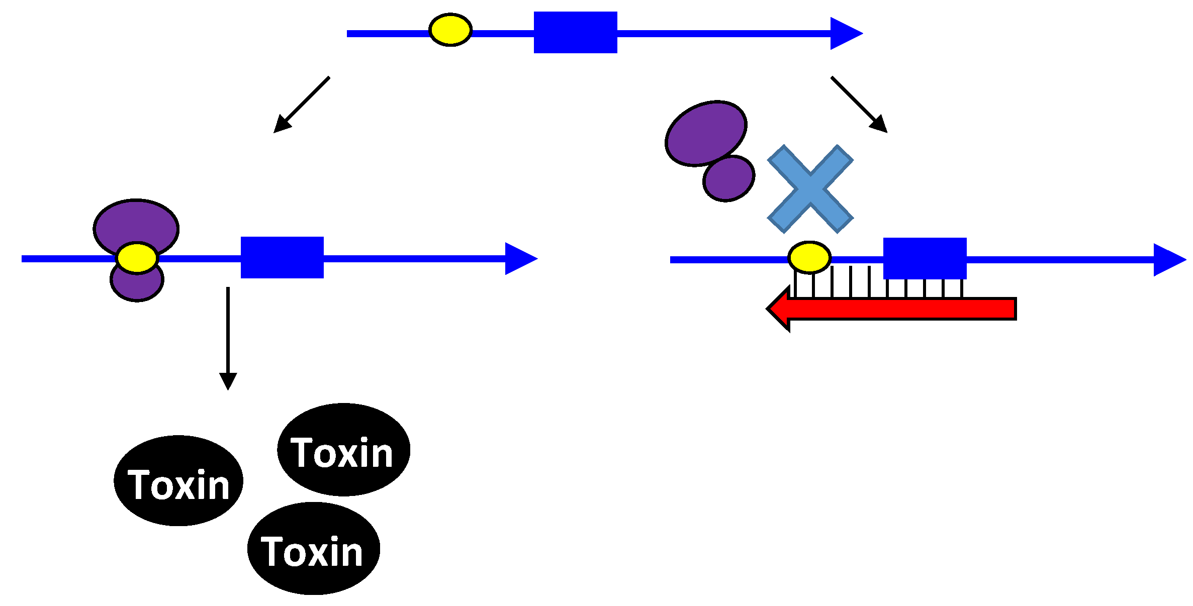 Карта осу toxin