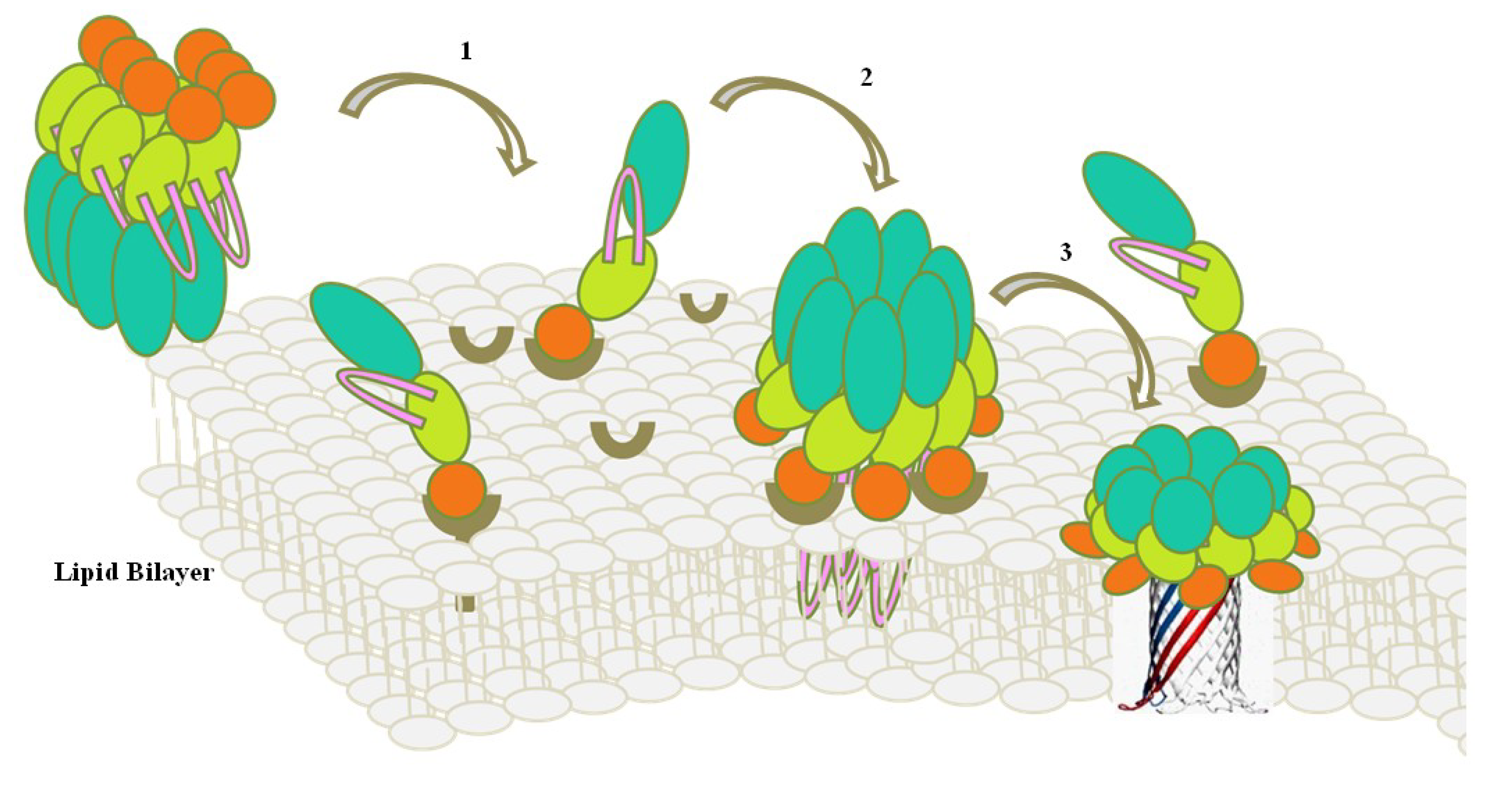Toxins 06 02732 g007 1024