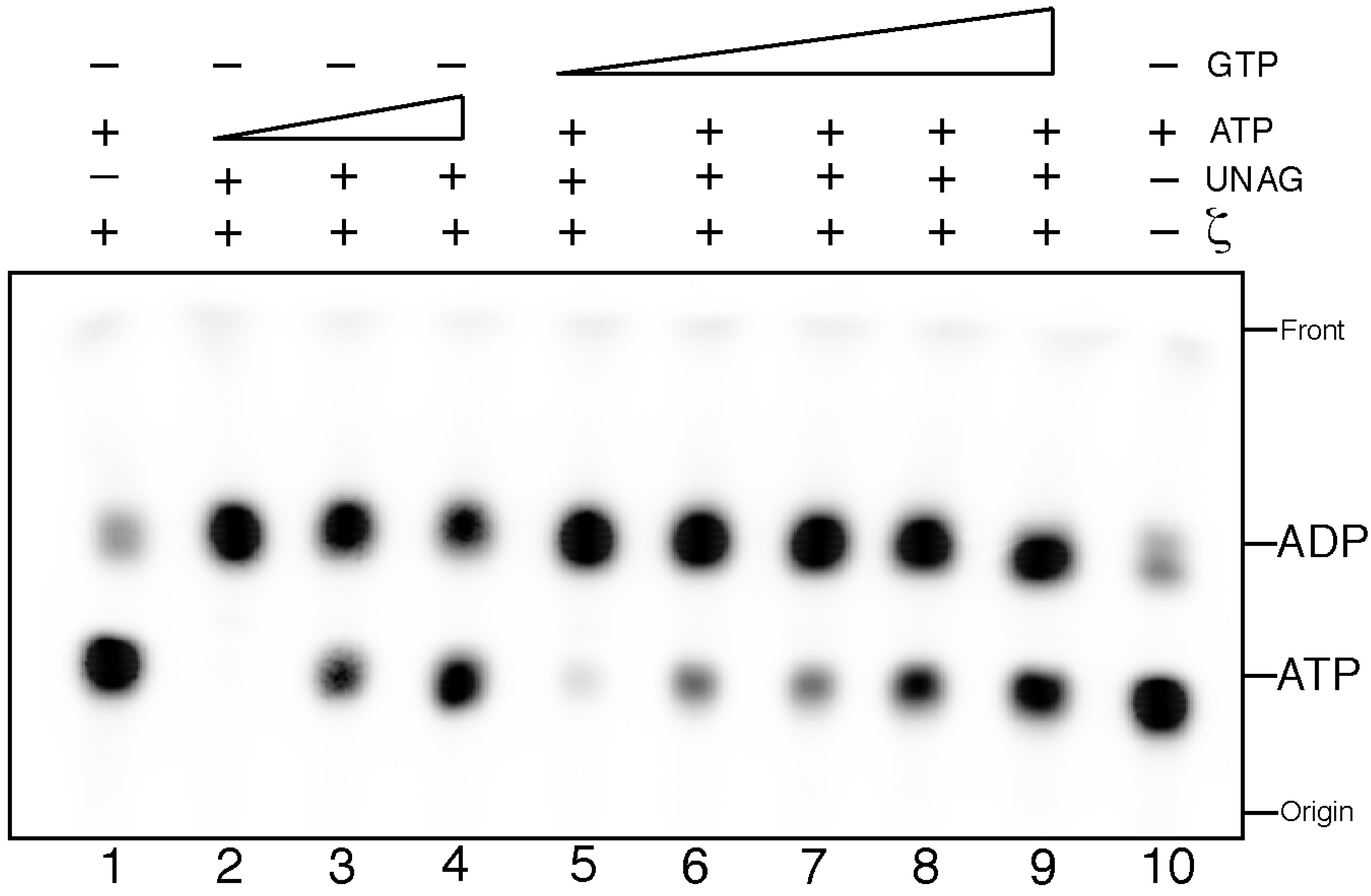Toxins 06 02787 g001 1024