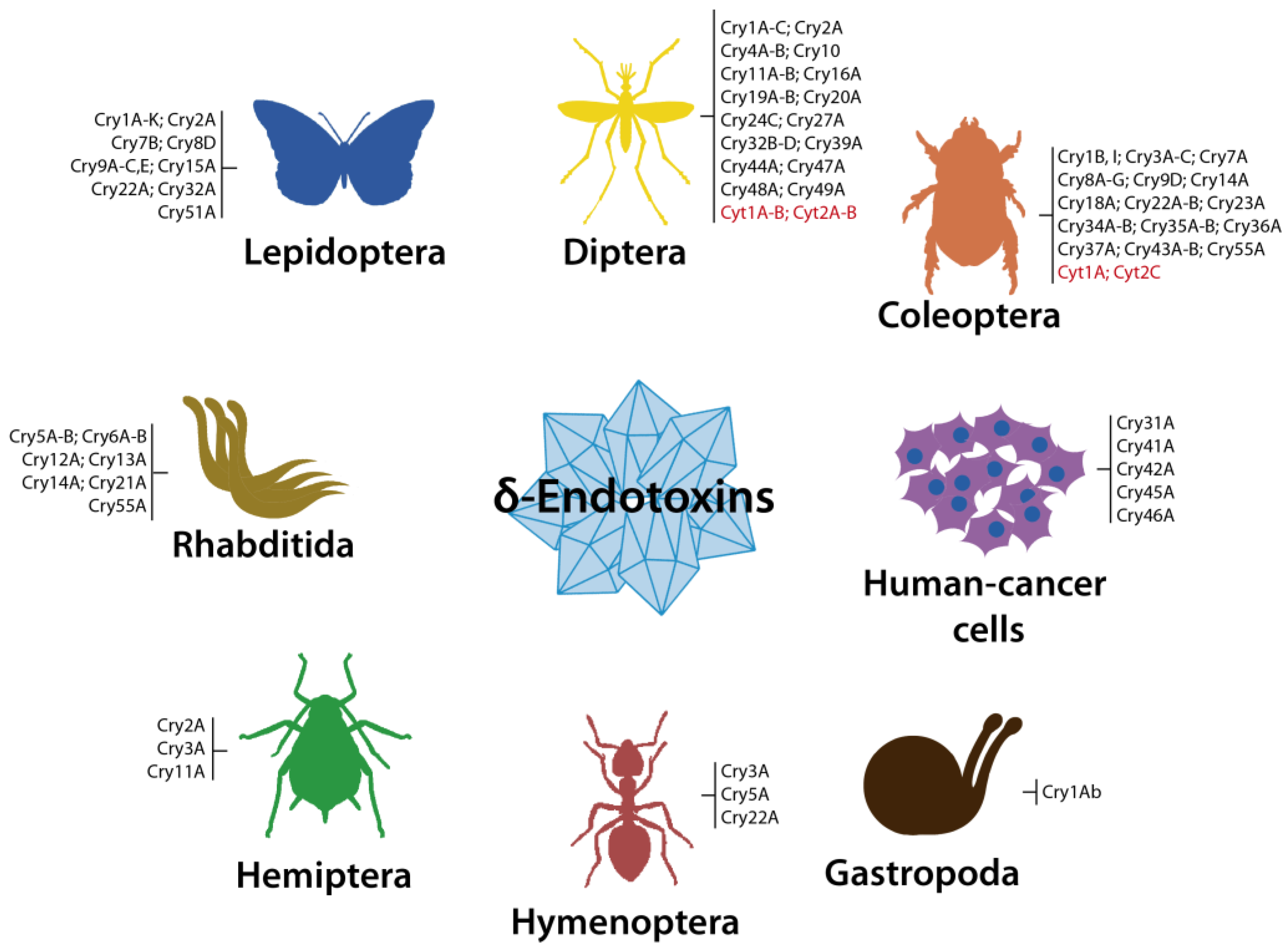 Toxins 06 03296 g003
