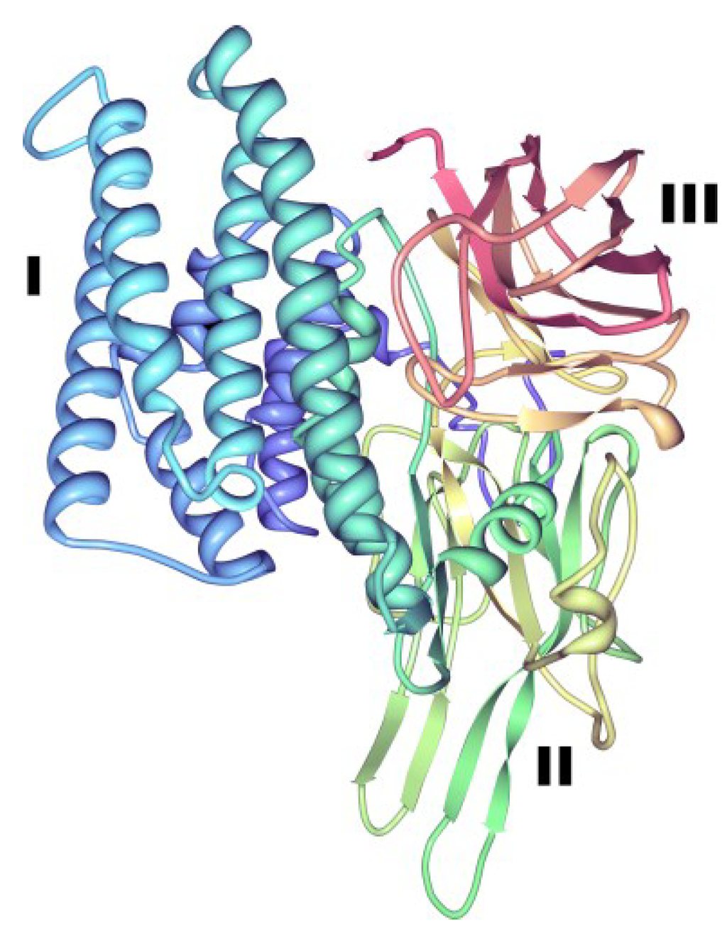 Bacillus thuringiensis Токсин