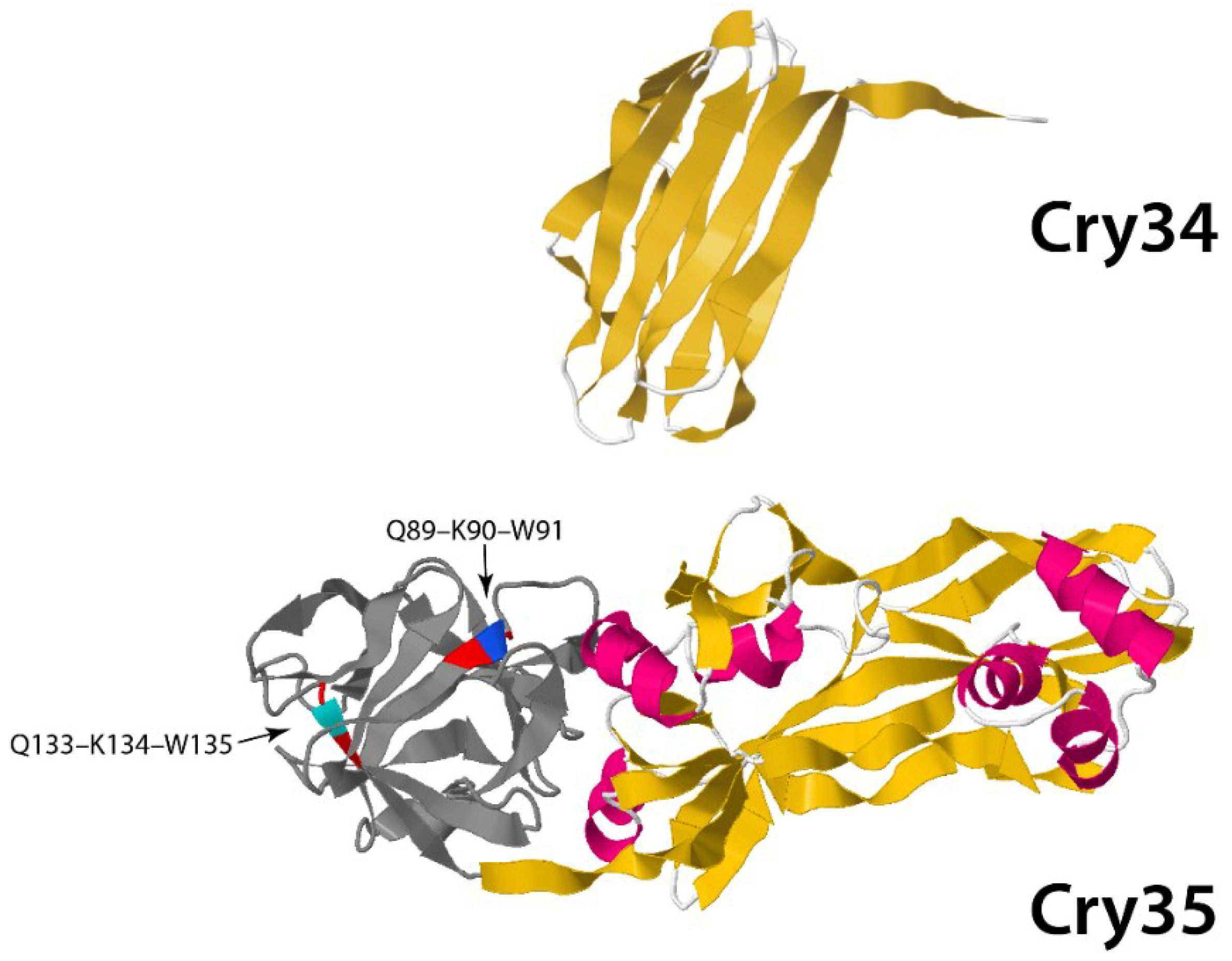 Toxins 06 03296 g006