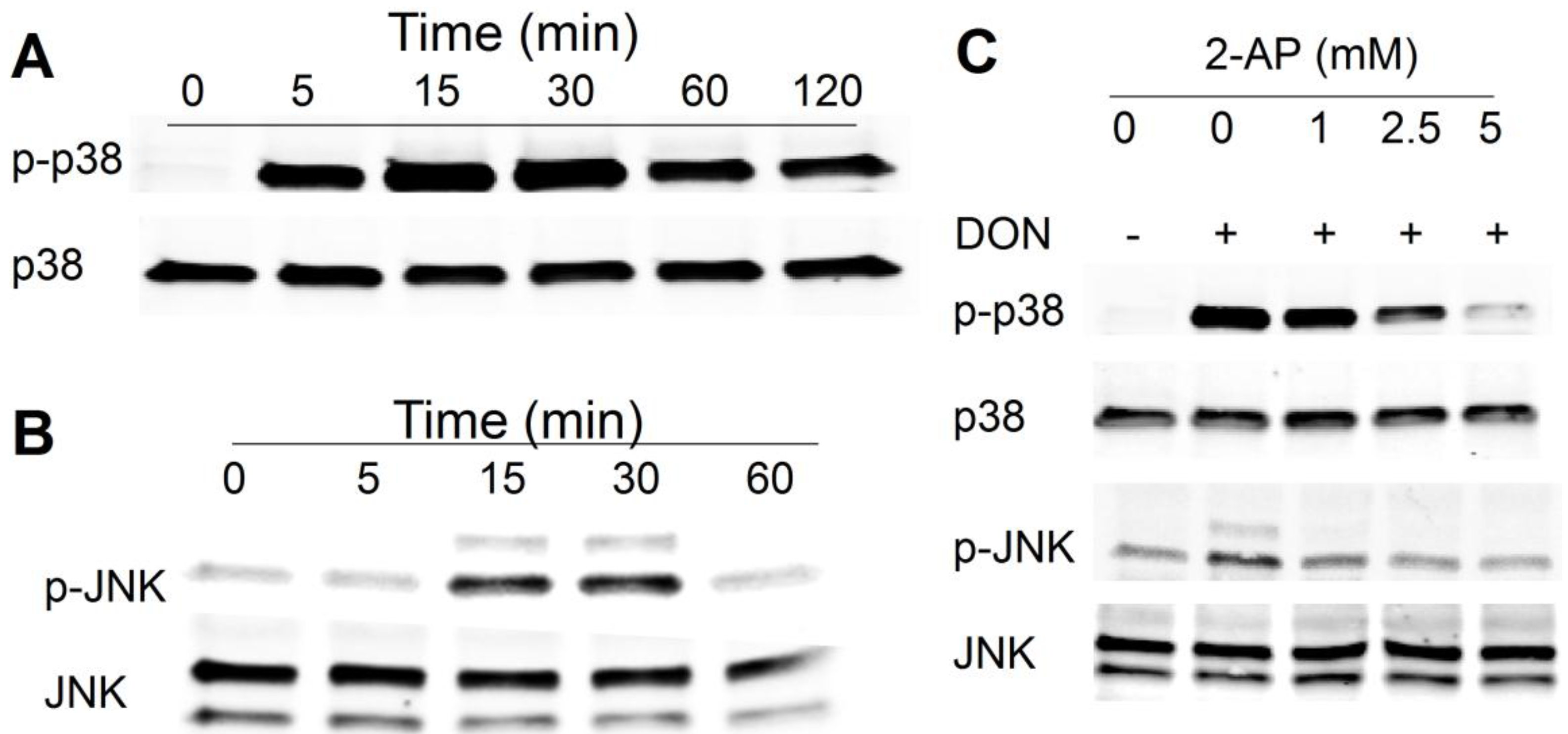 Toxins 06 03406 g001