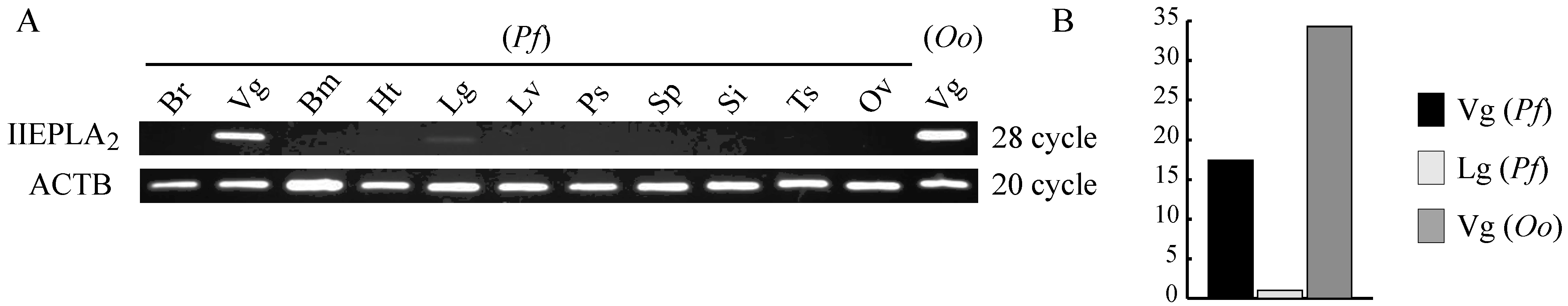 Toxins 06 03471 g004