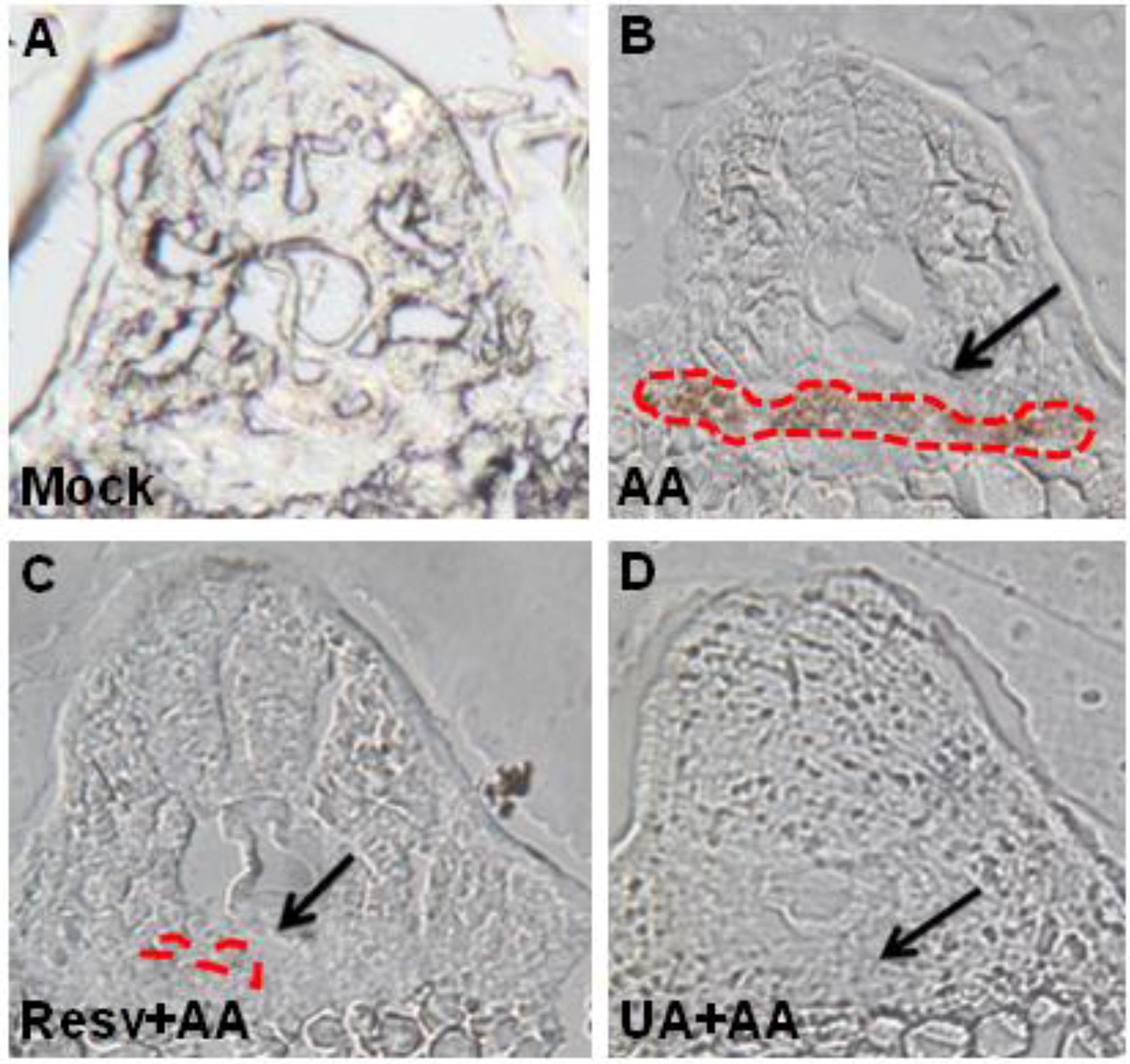 Toxins 07 00097 g005 1024