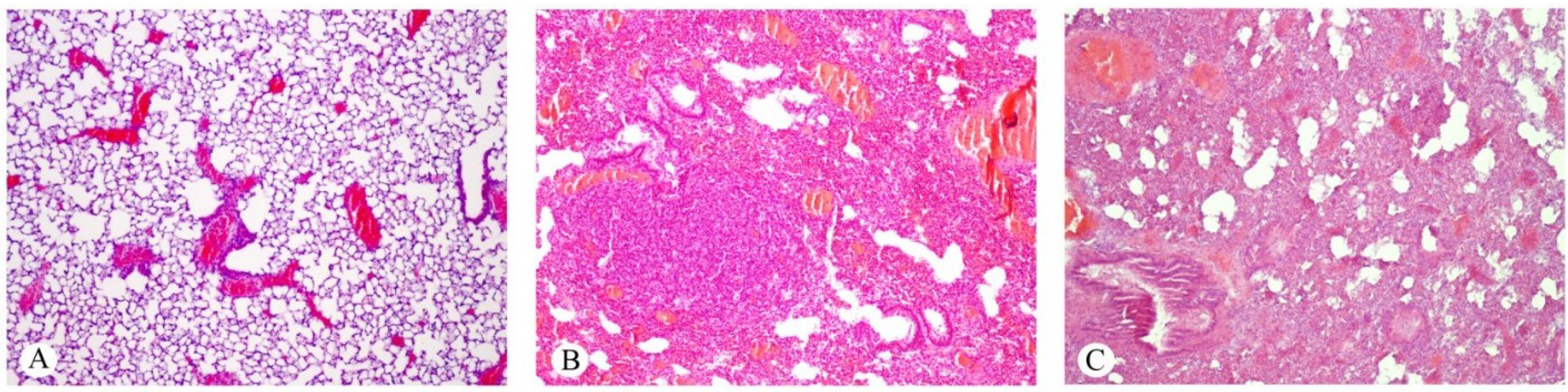 Toxins 07 00367 g004 1024