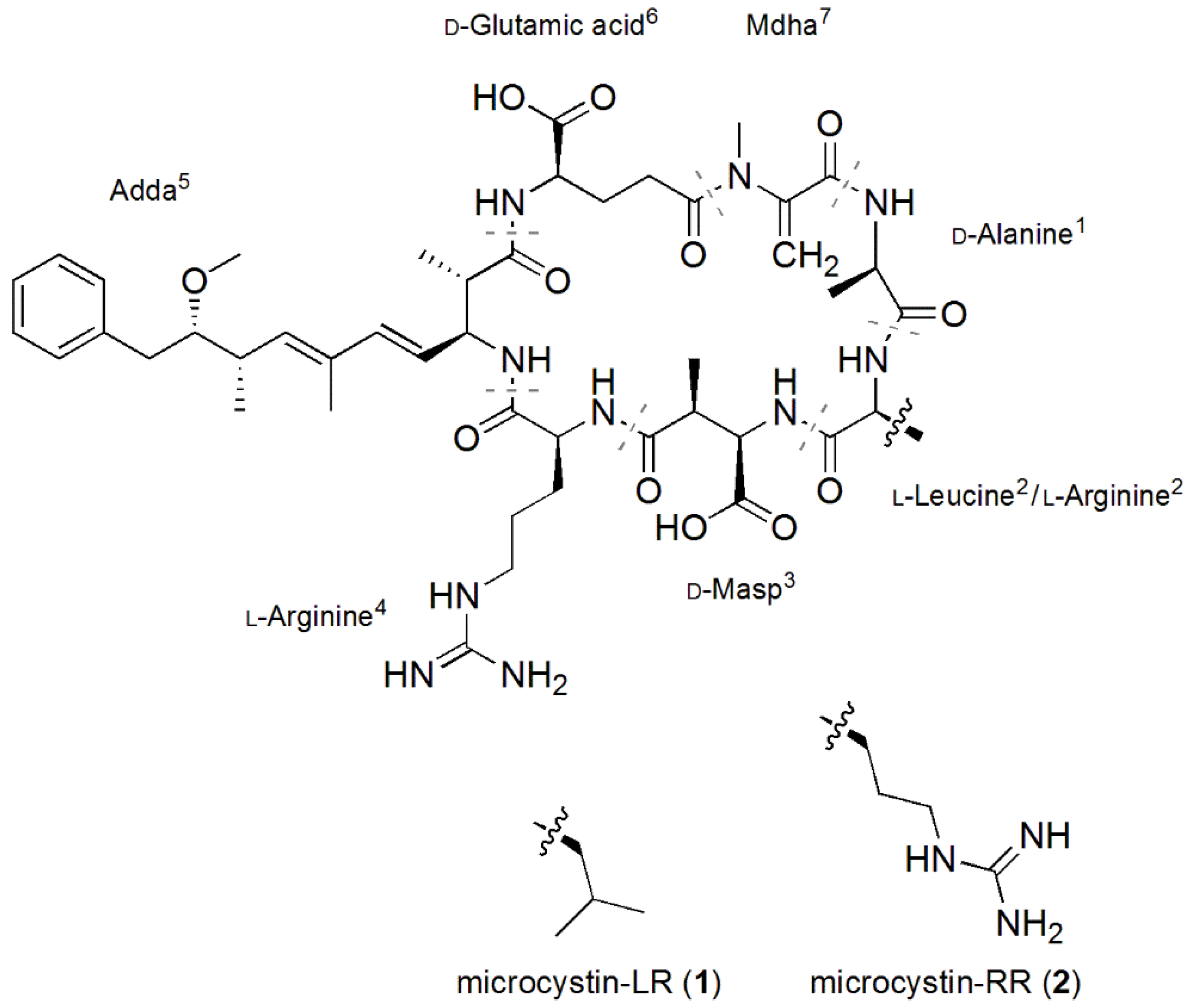 Toxins 07 00493 g001
