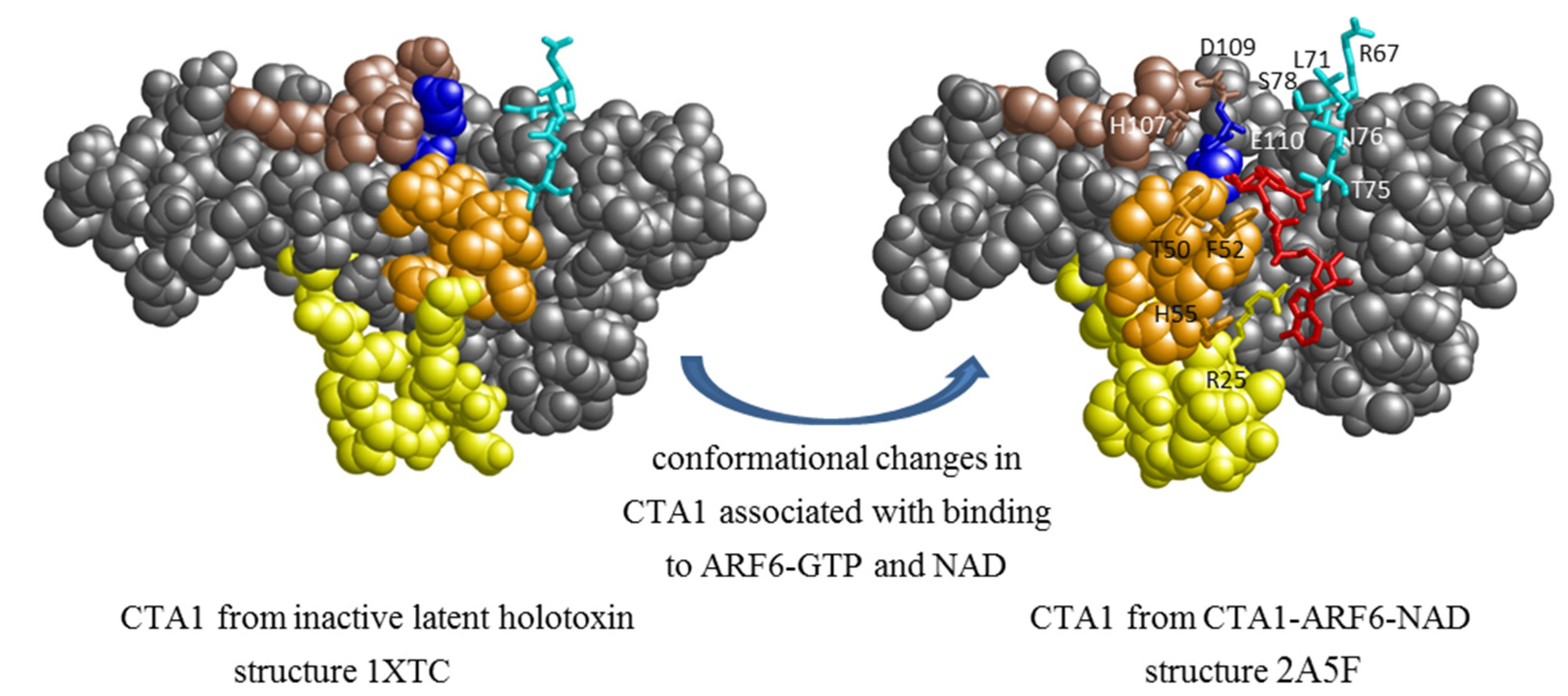 Toxins 07 00919 g001 1024