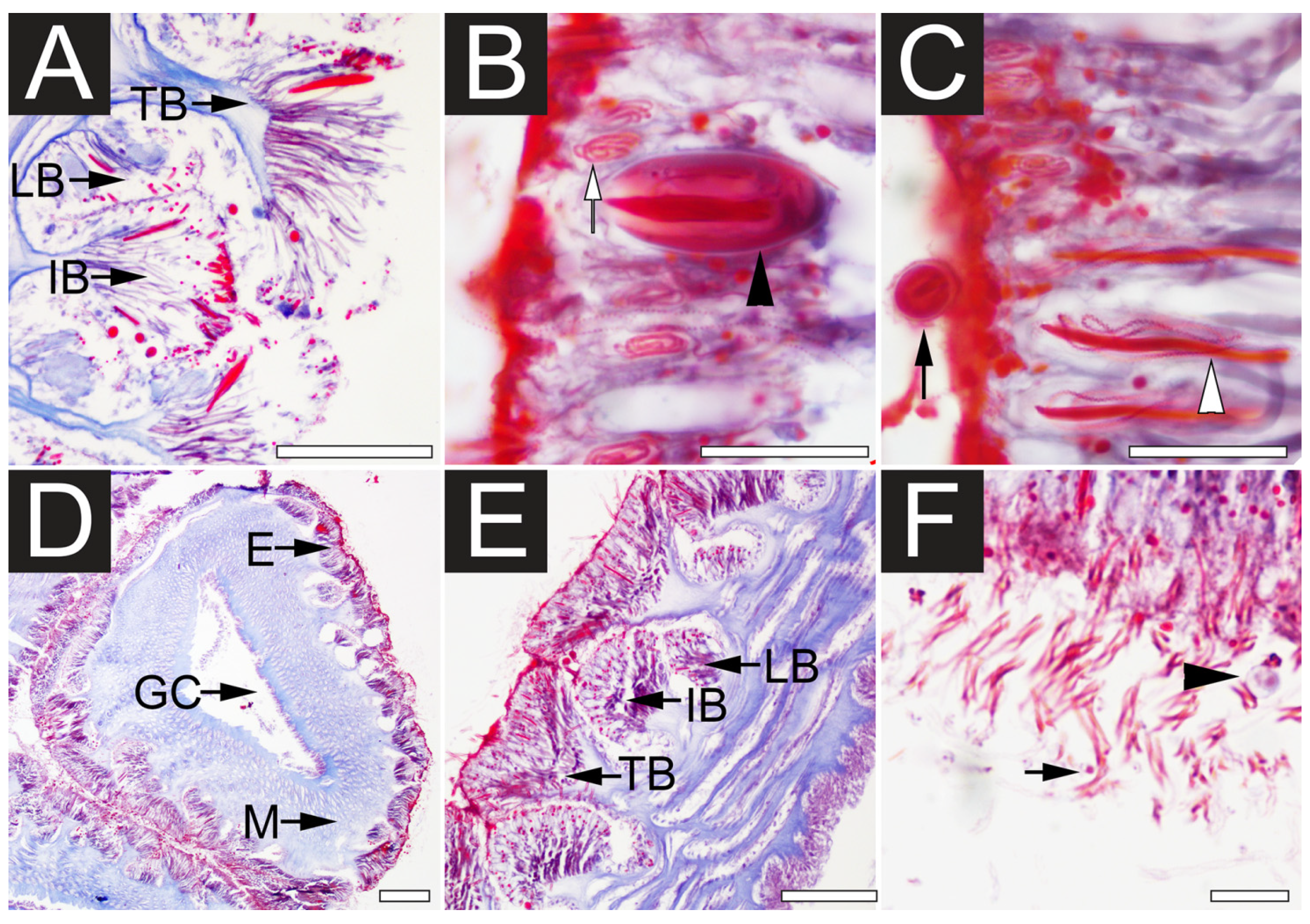 Toxins 07 00936 g002