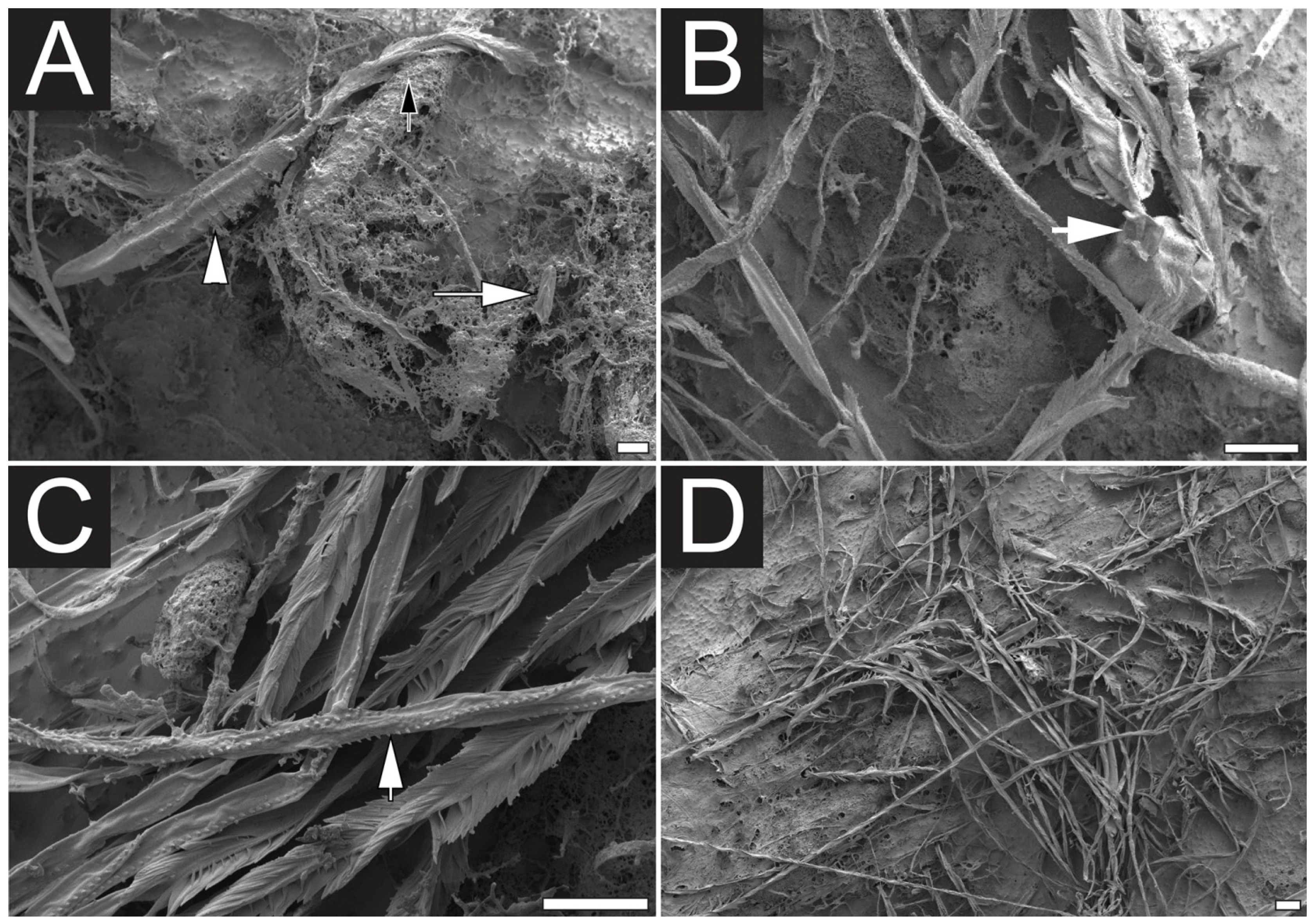Toxins 07 00936 g003